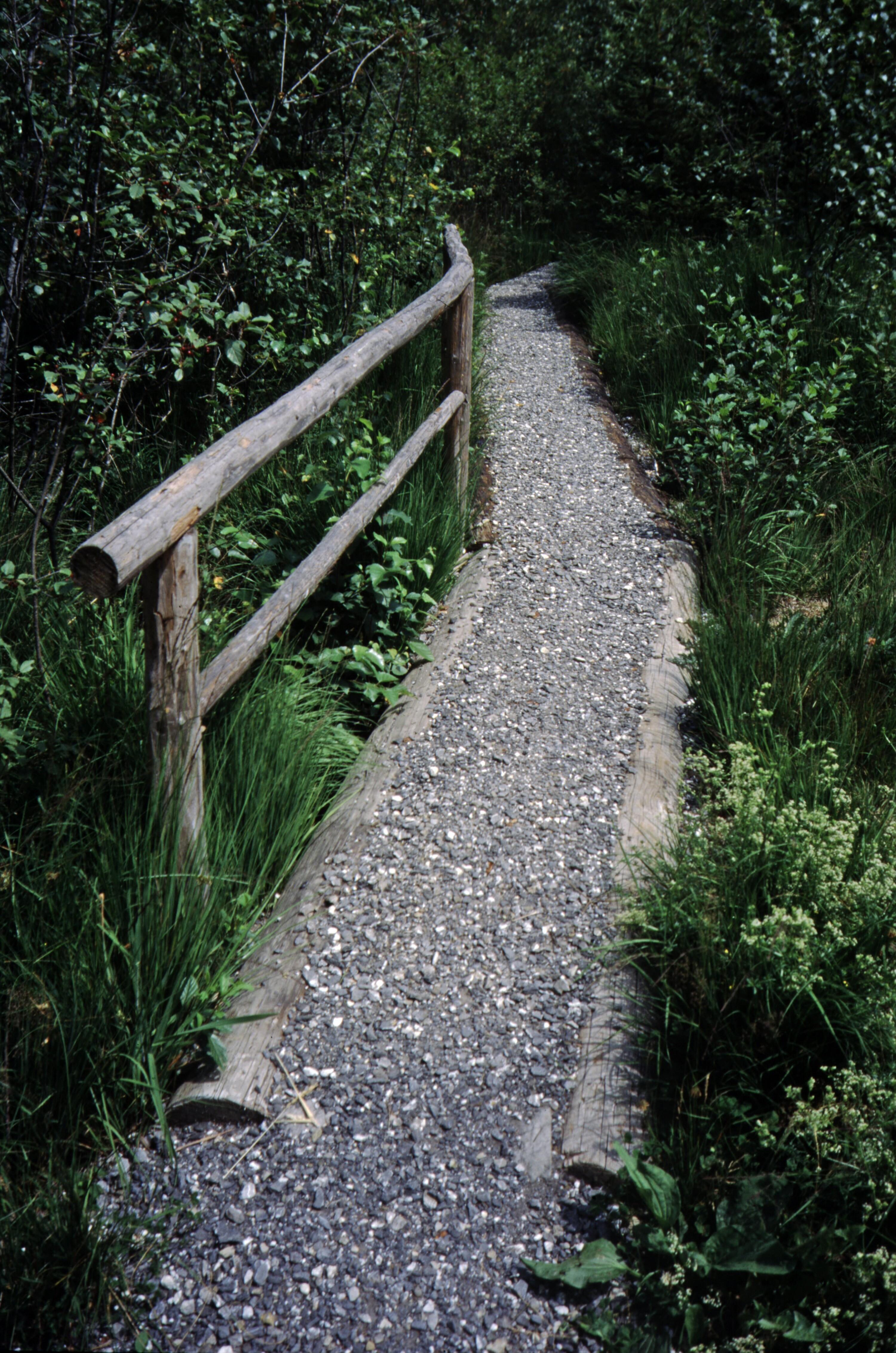 [Krumbach, Moorweg bei Roßbad]></div>


    <hr>
    <div class=