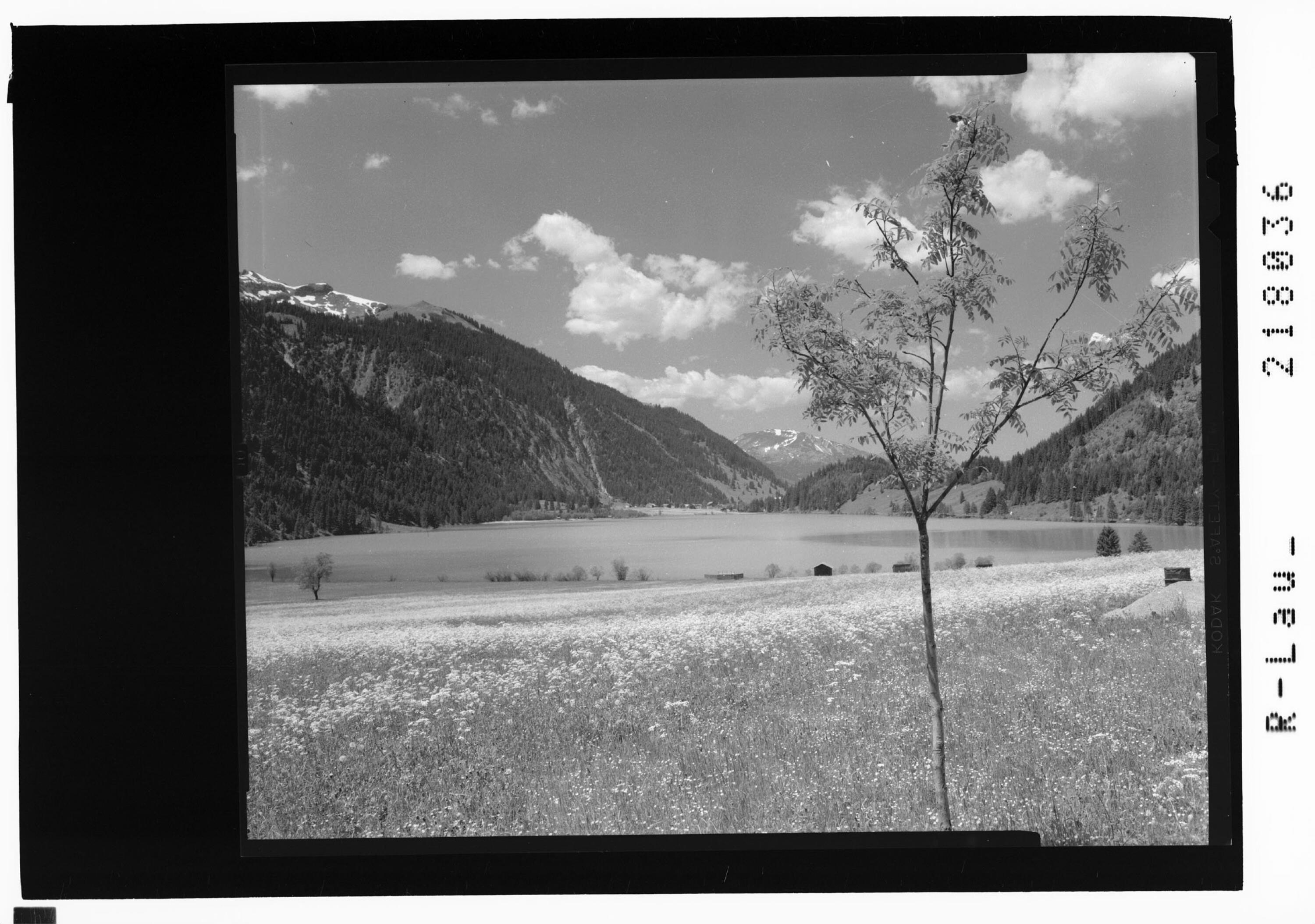 [Blick bei Haller im Tannheimertal auf den Haldensee mit Vogelhorn und Wannenjoch / Tirol]></div>


    <hr>
    <div class=