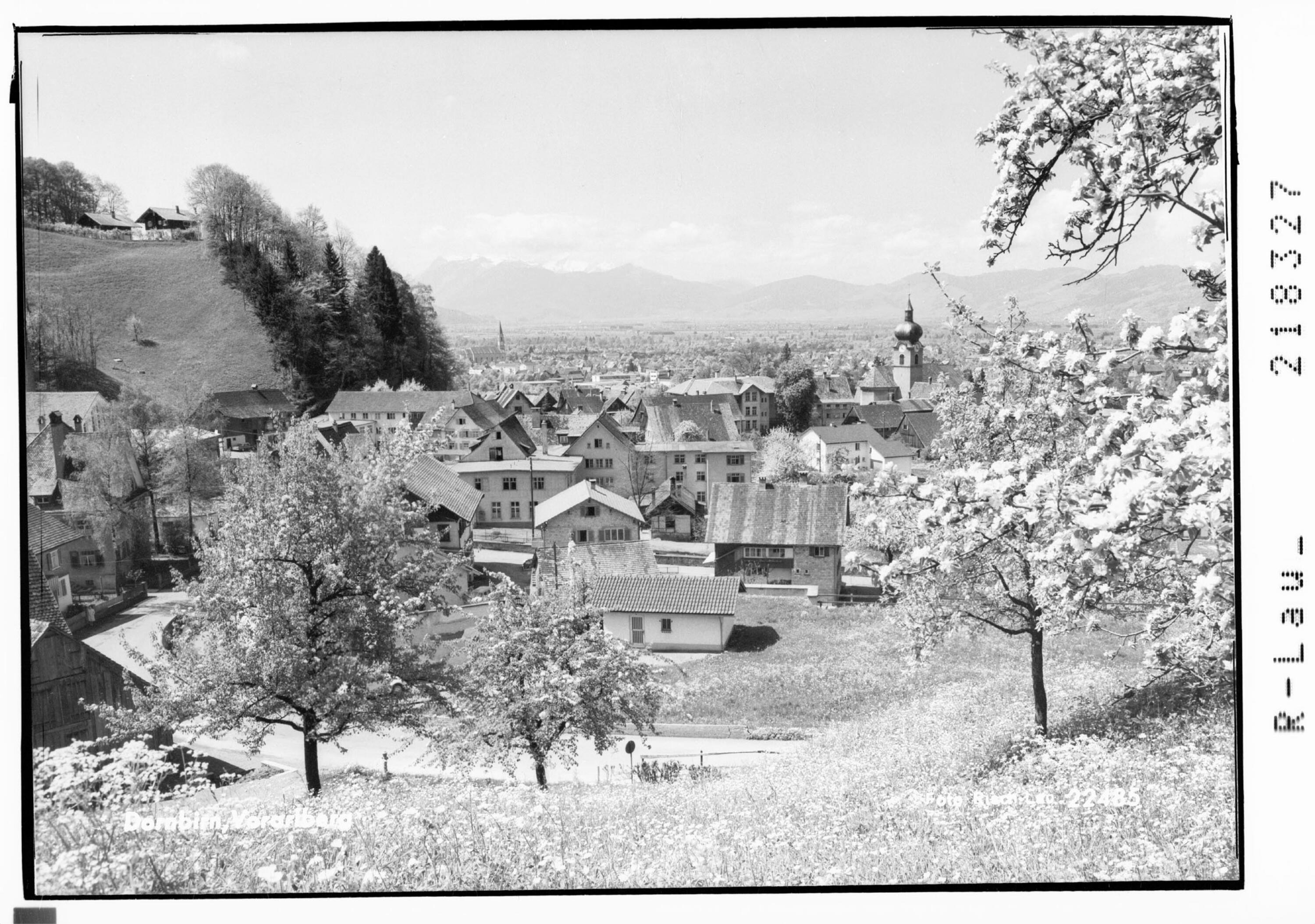 Dornbirn, Vorarlberg></div>


    <hr>
    <div class=