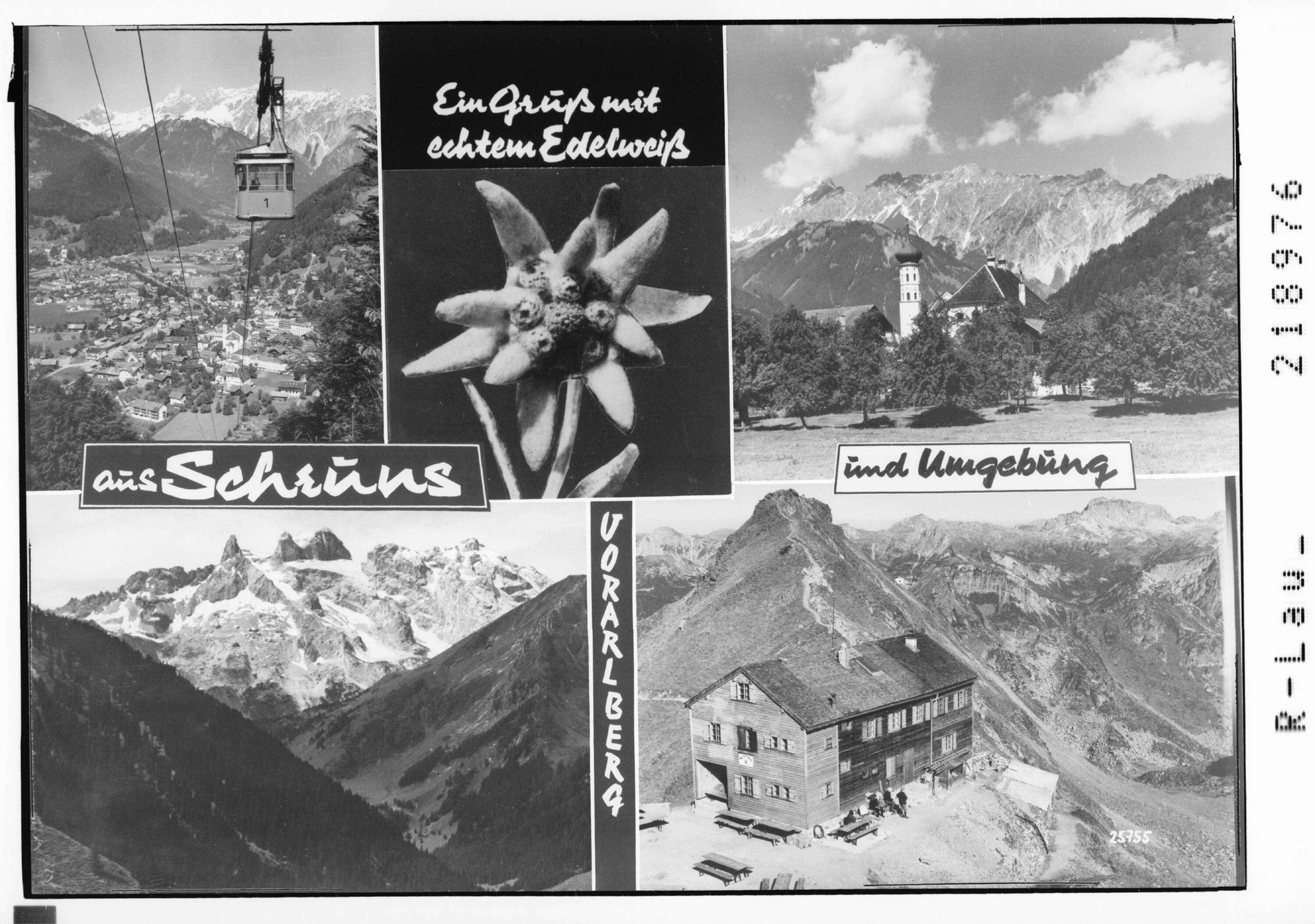<<Ein>> Gruß mit echtem Edelweiß aus Schruns und Umgebung Vorarlberg></div>


    <hr>
    <div class=