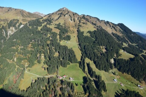 Mittelberg - Alpenwald, Erlenboden, Stutzalpe von Amt der Vorarlberger Landesregierung Abteilung Raumplanung
