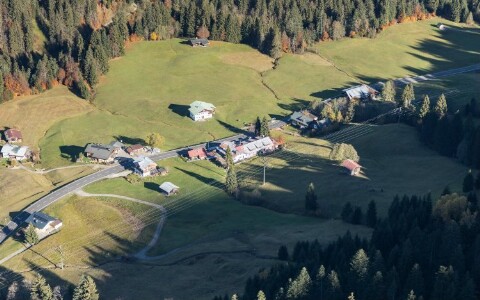 Mittelberg - Wald von Amt der Vorarlberger Landesregierung Abteilung Raumplanung