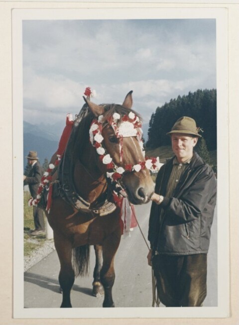 Pferd mit Blumenschmuck / Fotograf: Norbert Bertolini von Bertolini, Norbert