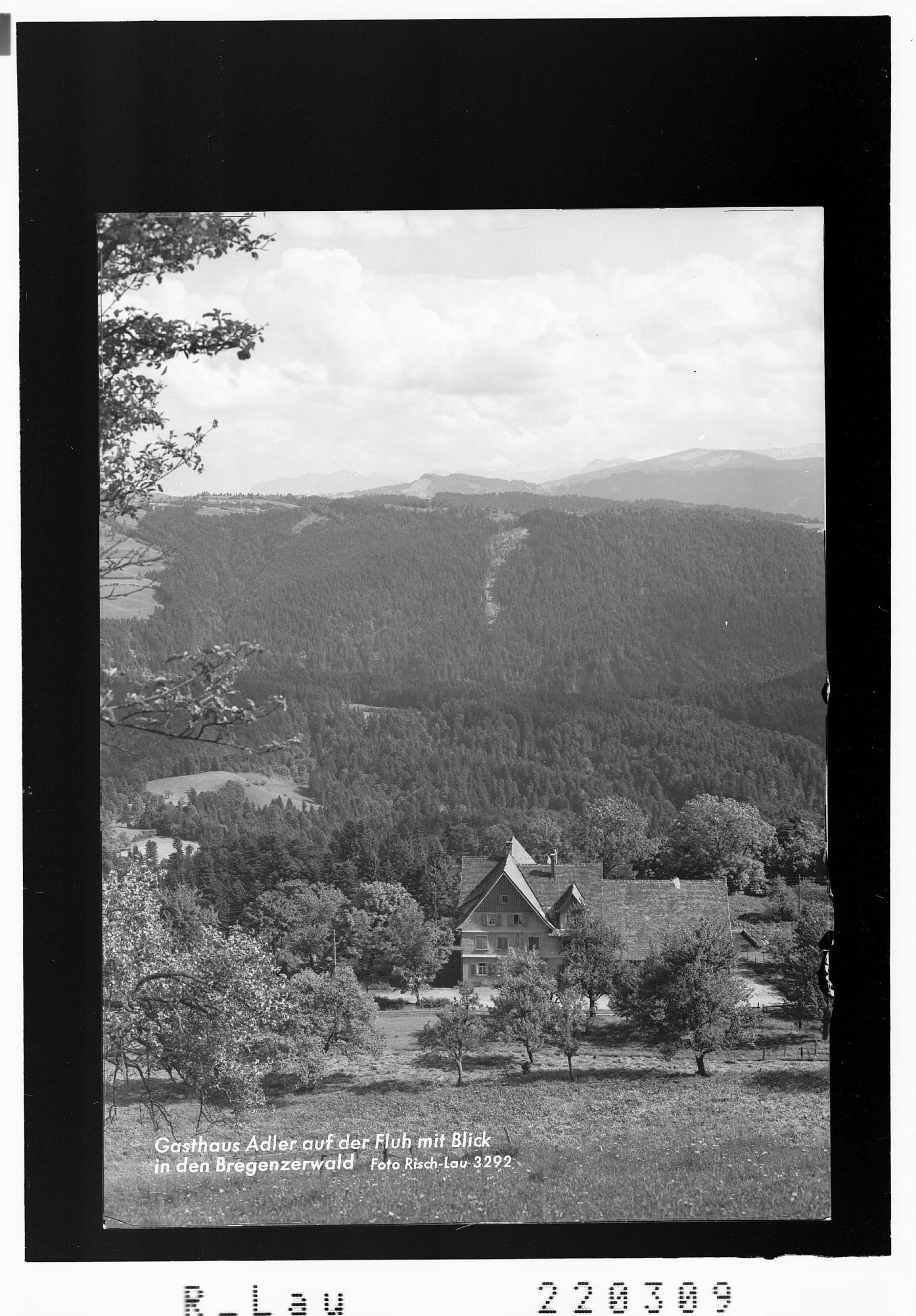 Gasthaus Adler auf der Fluh mit Blick in den Bregenzerwald></div>


    <hr>
    <div class=