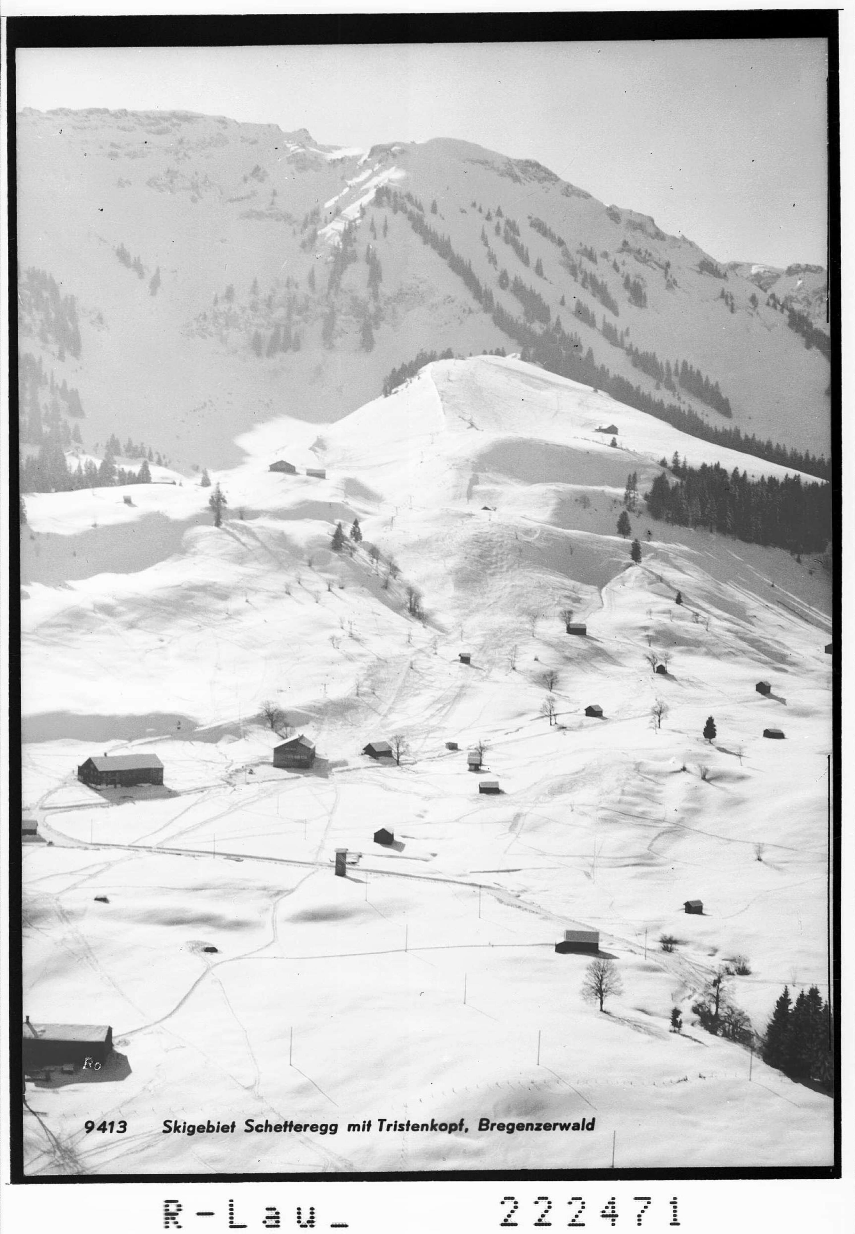 Skigebiet Schetteregg mit Tristenkopf / Bregenzerwald></div>


    <hr>
    <div class=