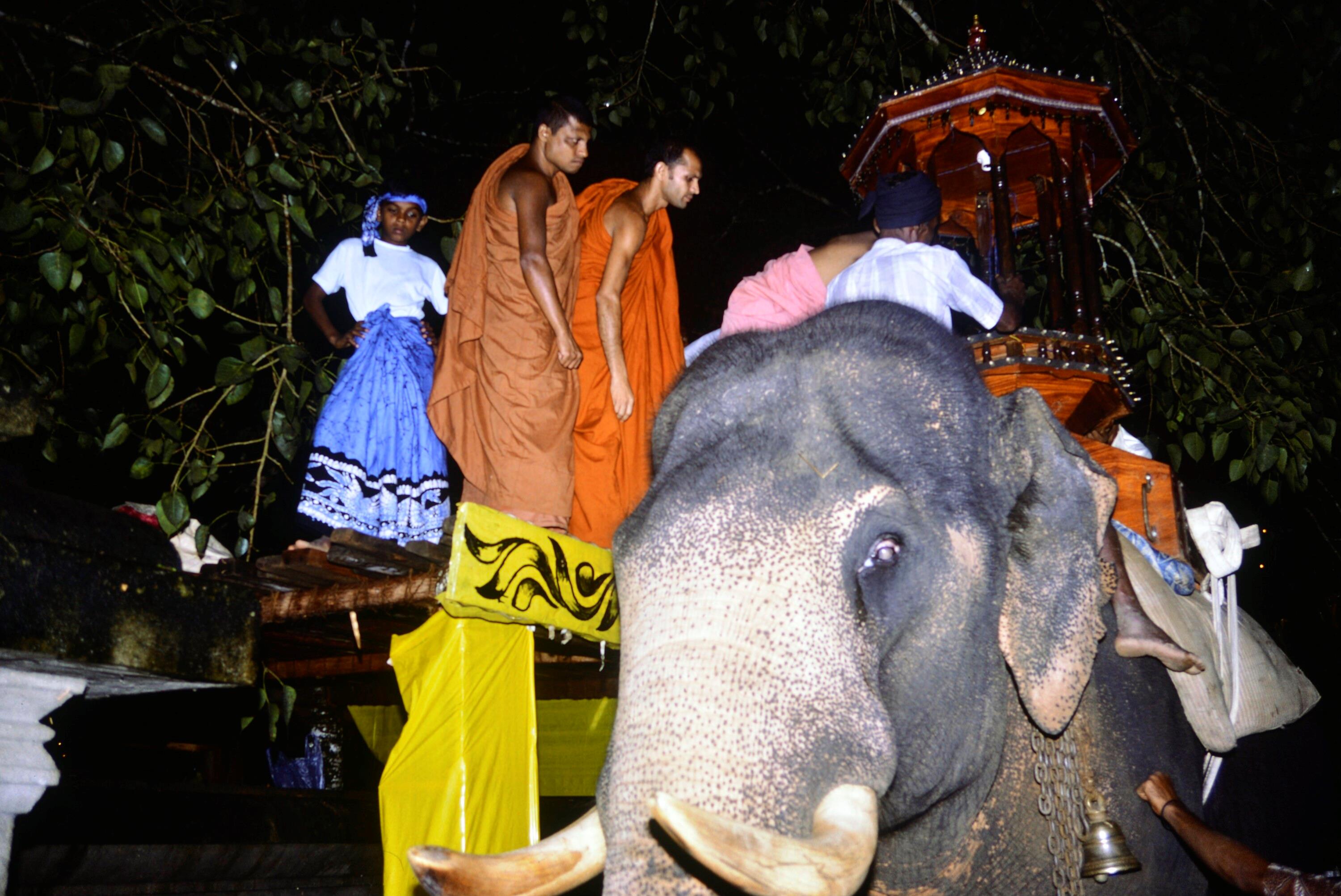 [Chaminda mit Elefanten auf Sri Lanka]></div>


    <hr>
    <div class=