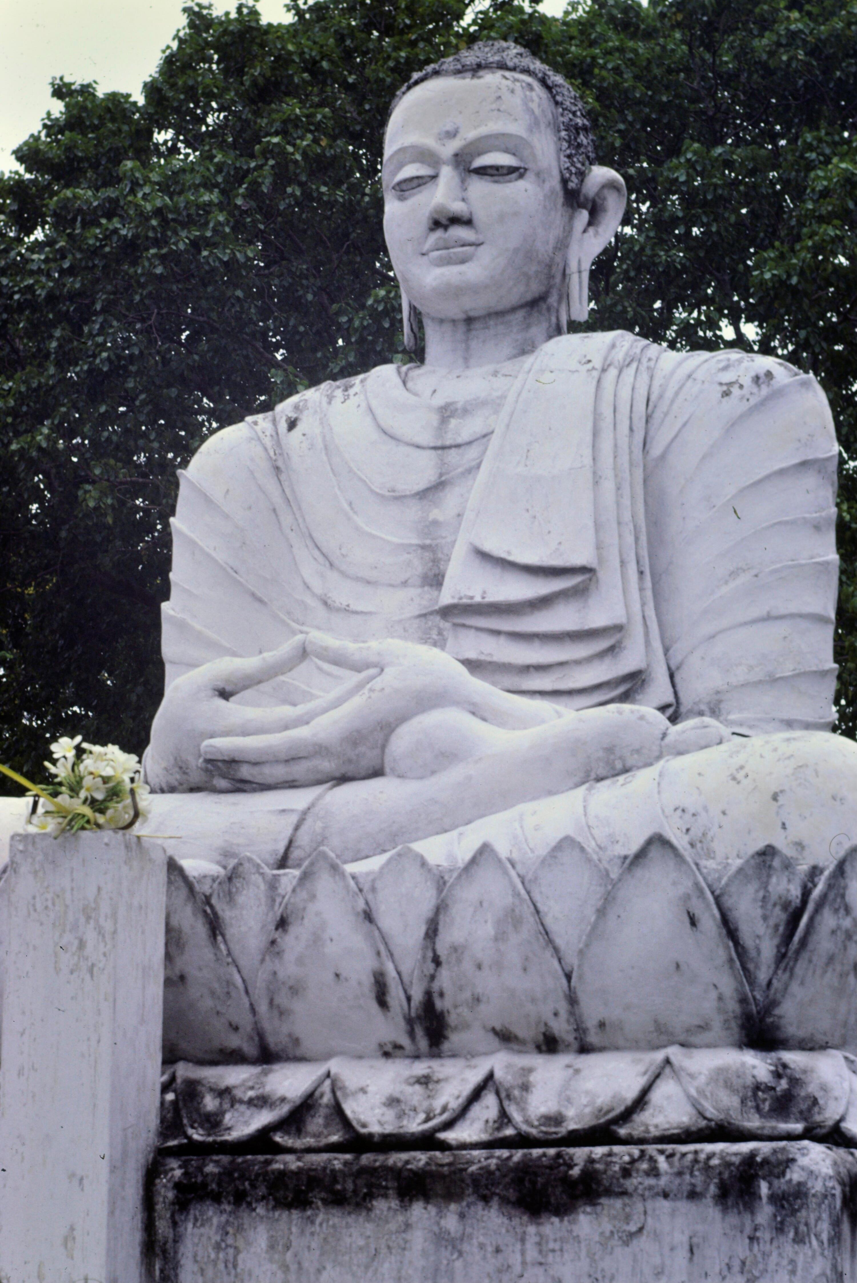 [Buddha Statue]></div>


    <hr>
    <div class=
