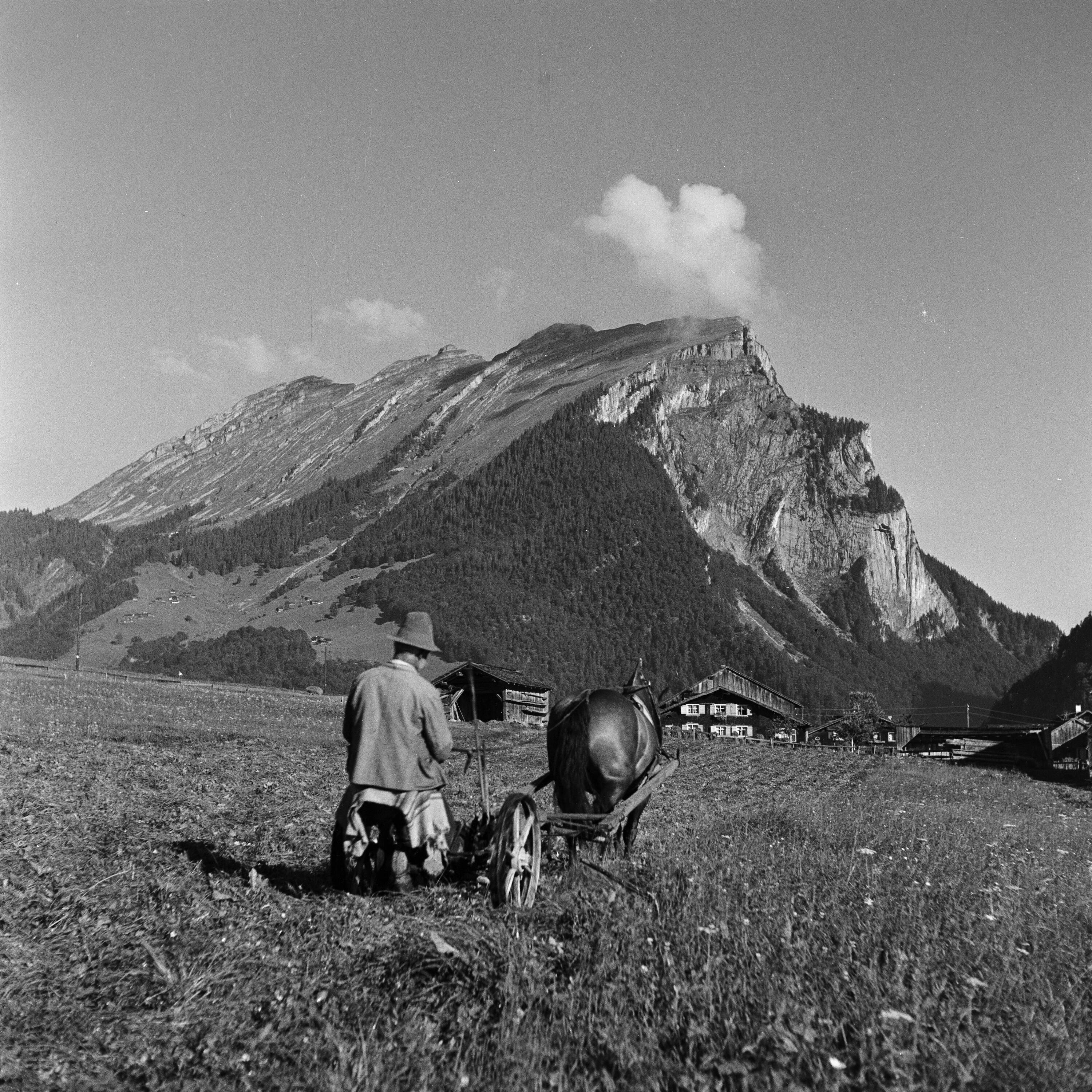 Au, Bauer beim Mähen, Pferd als Zugtier></div>


    <hr>
    <div class=