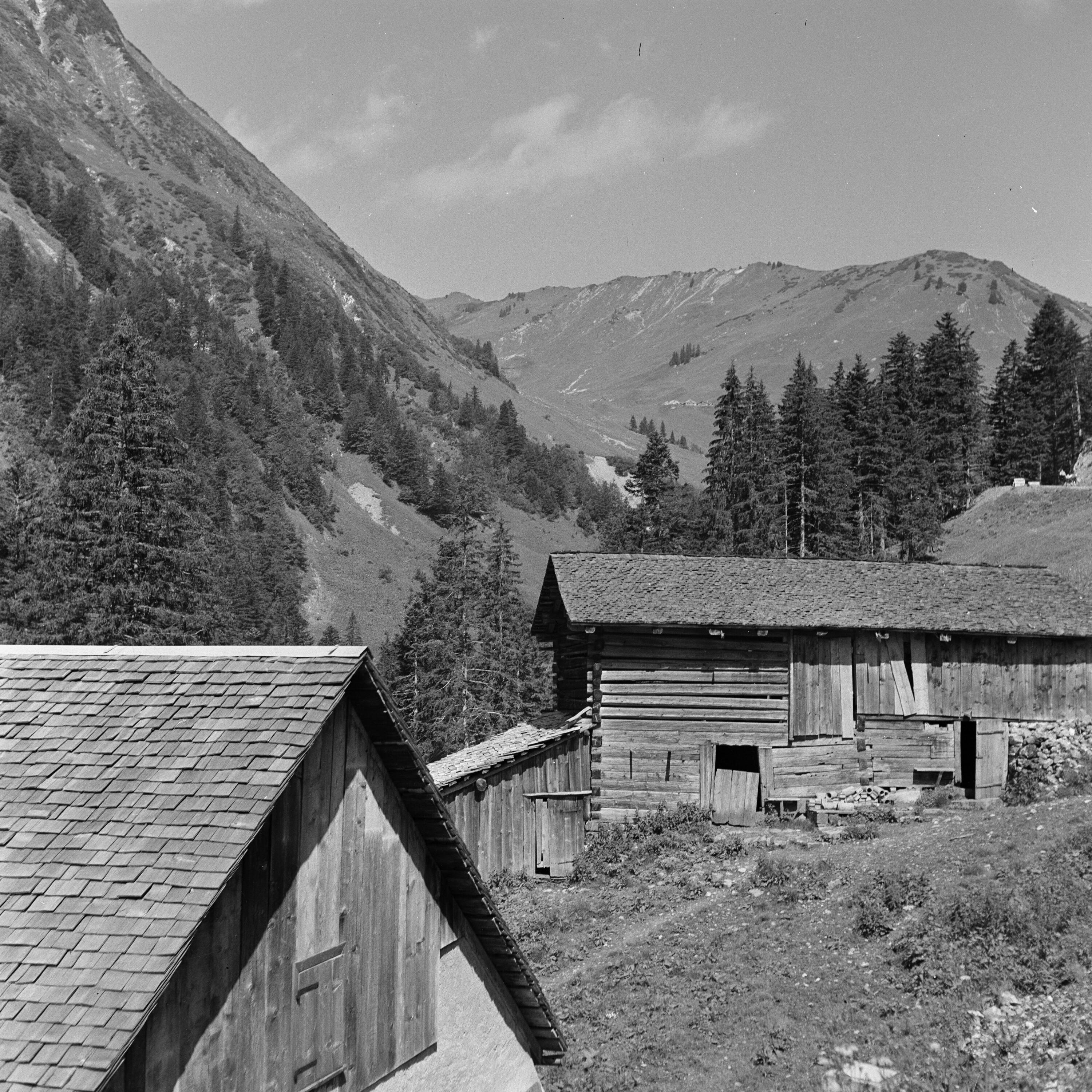 Großes Walsertal, Alpe></div>


    <hr>
    <div class=