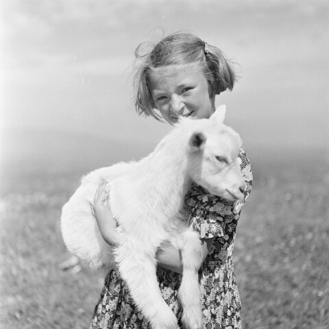 Schaf in den Armen eines Mädchens / Franz Beer von Beer, Franz