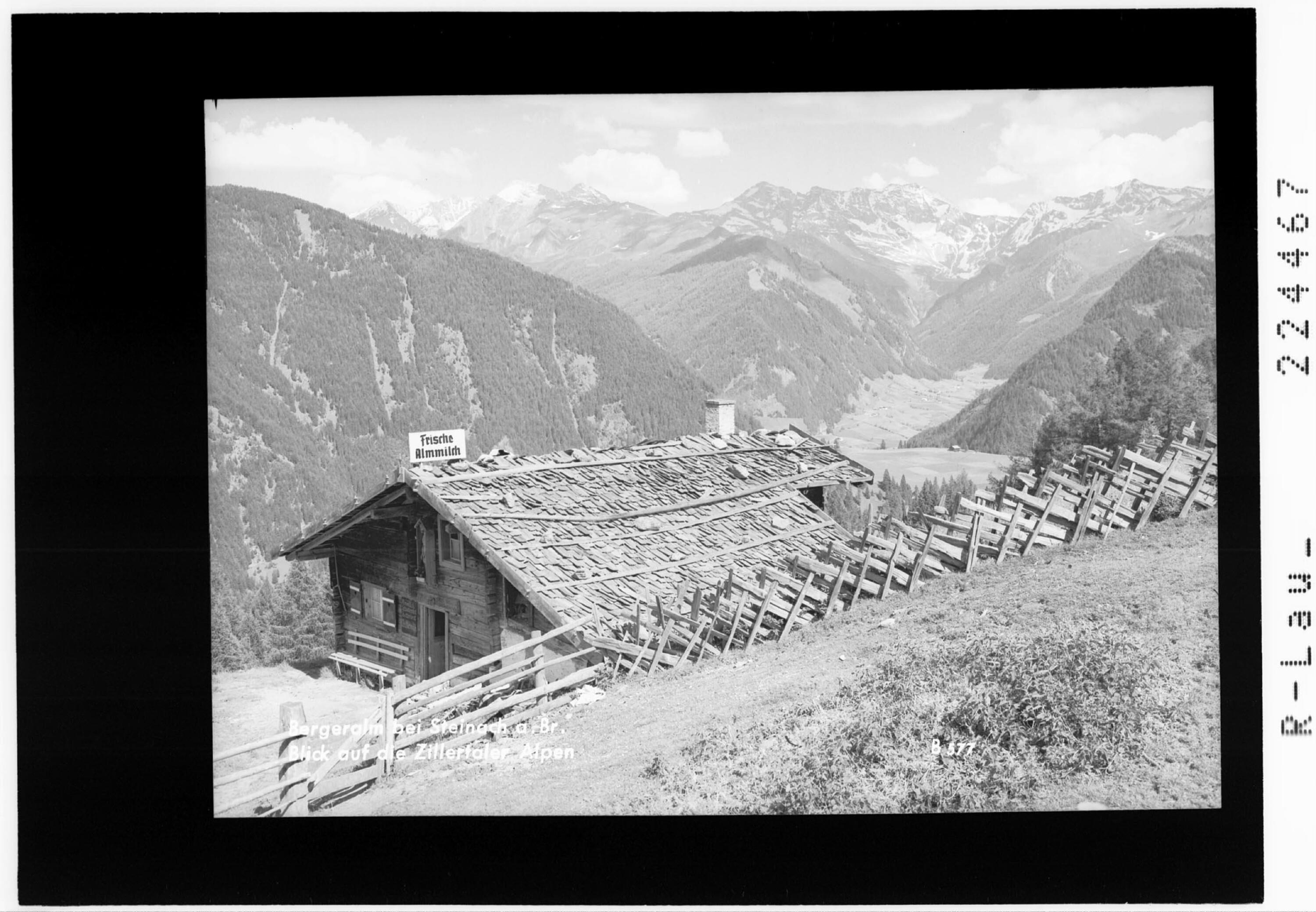 Bergeralm bei Steinach am Brenner / Blick auf die Zillertaler Alpen></div>


    <hr>
    <div class=