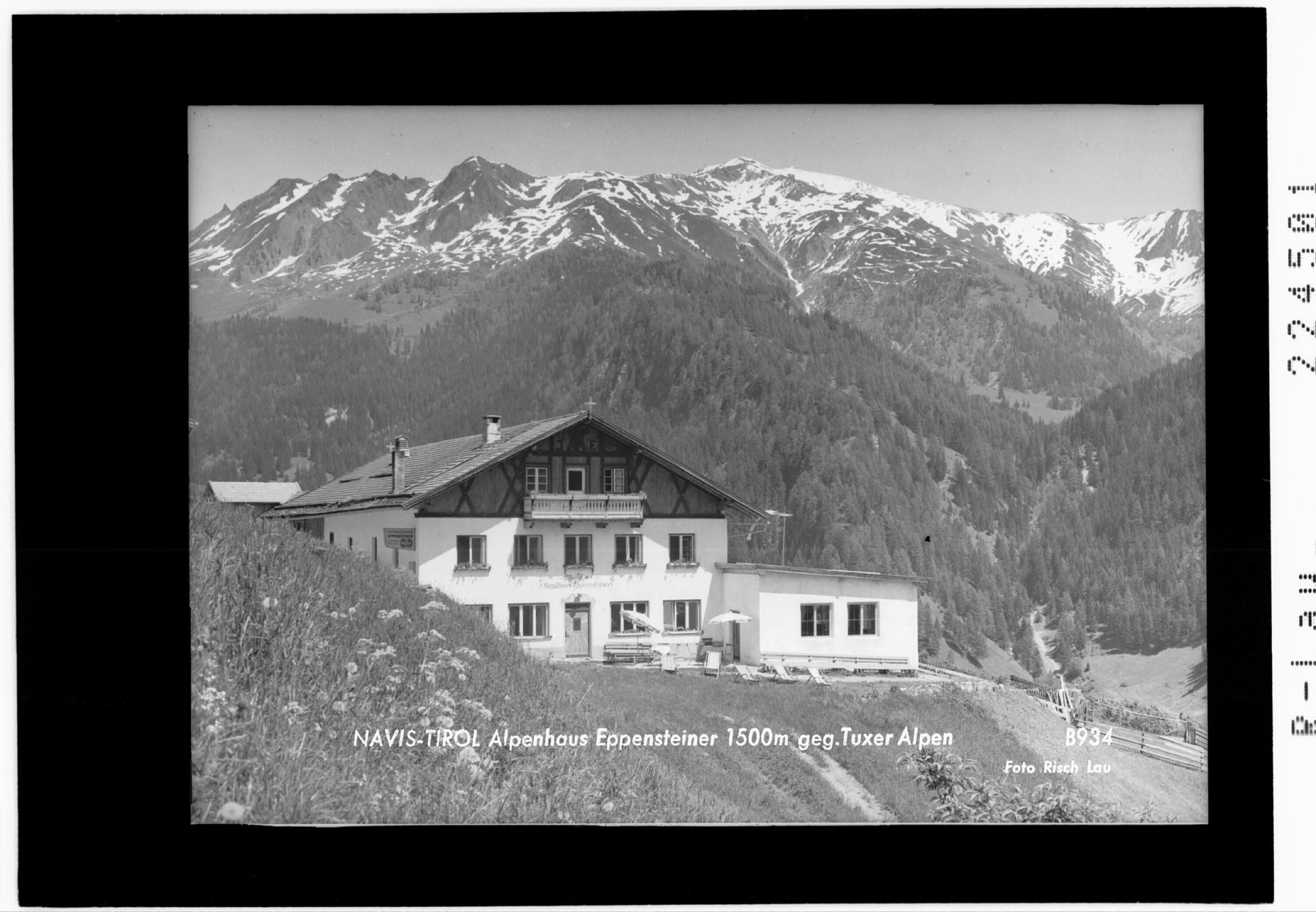 Navis - Tirol / Alpenhaus Eppensteiner 1500 m gegen Tuxer Alpen></div>


    <hr>
    <div class=