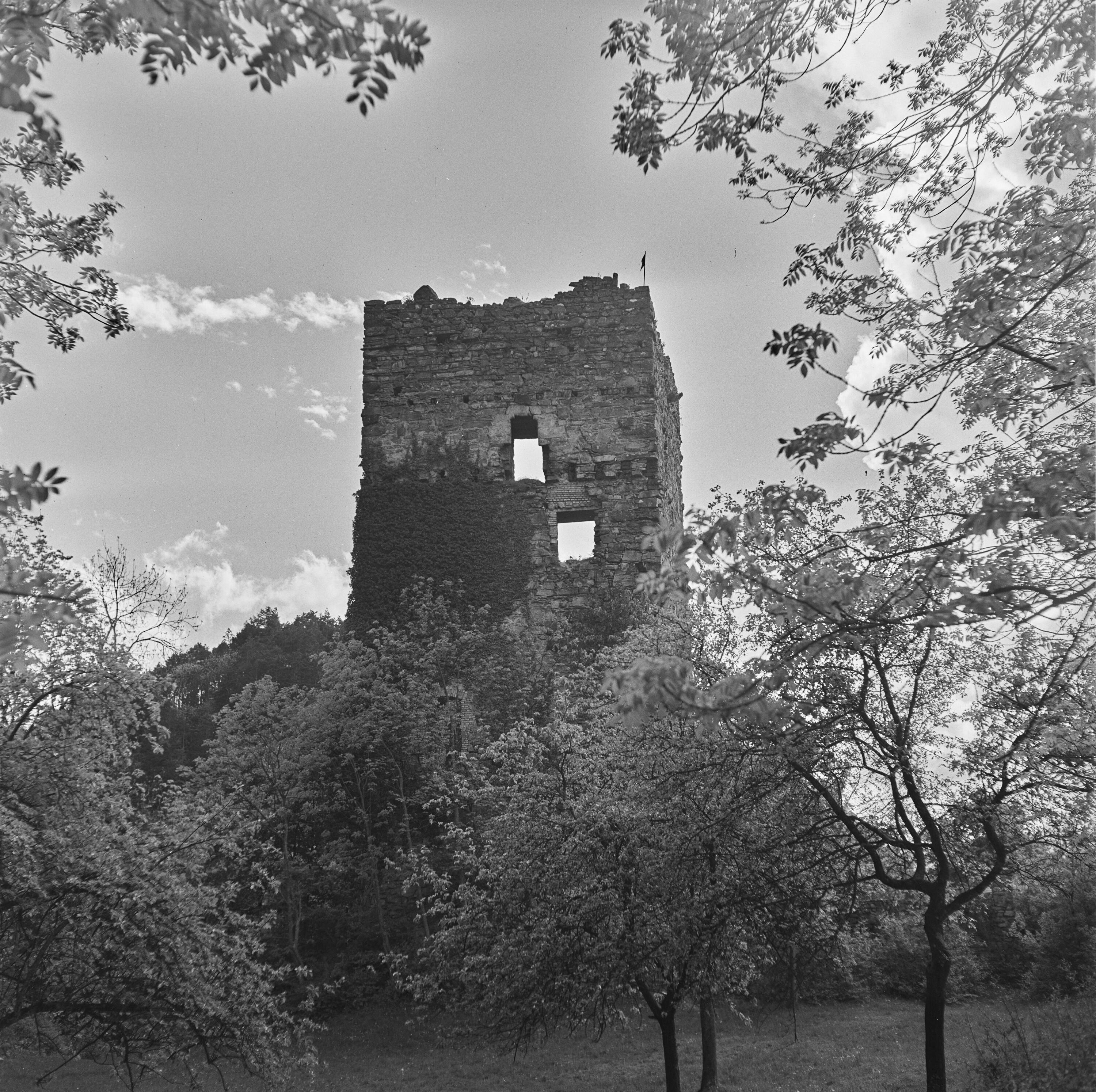 Götzis, Ruine Neu-Montfort></div>


    <hr>
    <div class=