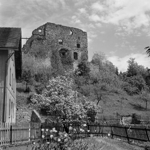 Schlins, Ruine Jagdberg / Franz Beer von Beer, Franz