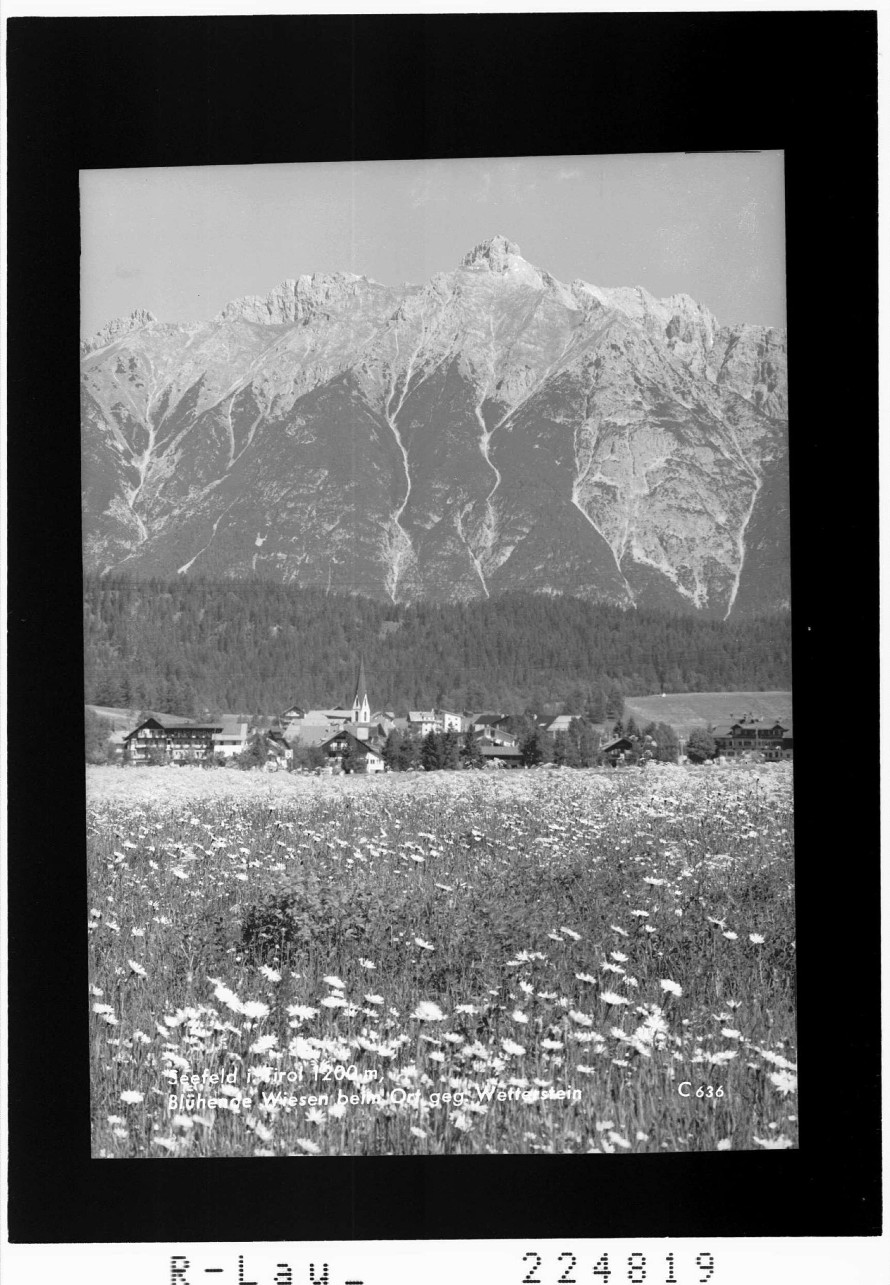 Seefeld in Tirol 1200 m / Blühende Wiesen beim Ort gegen Wetterstein></div>


    <hr>
    <div class=