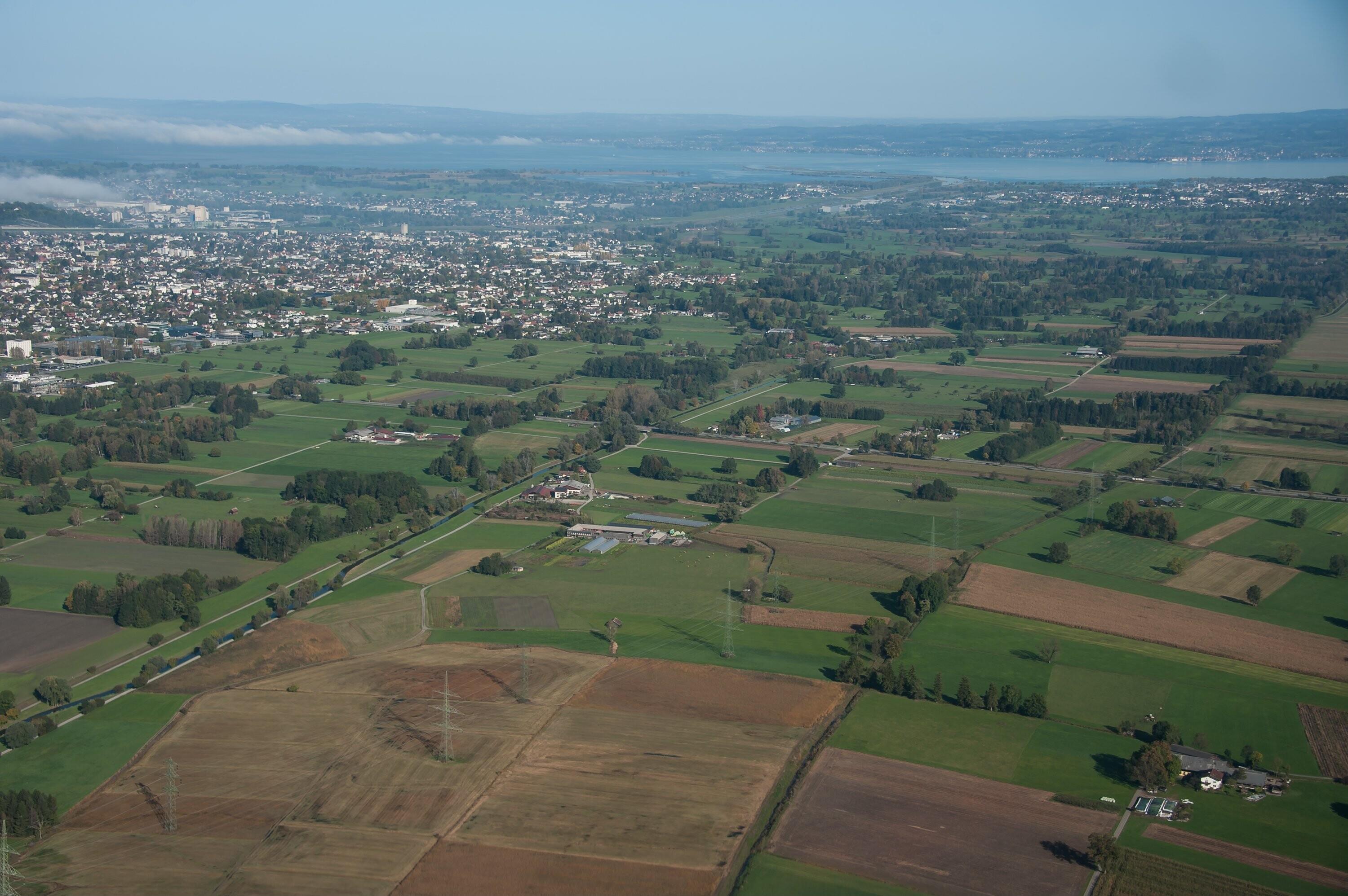 [Lustenau - Ried]></div>


    <hr>
    <div class=