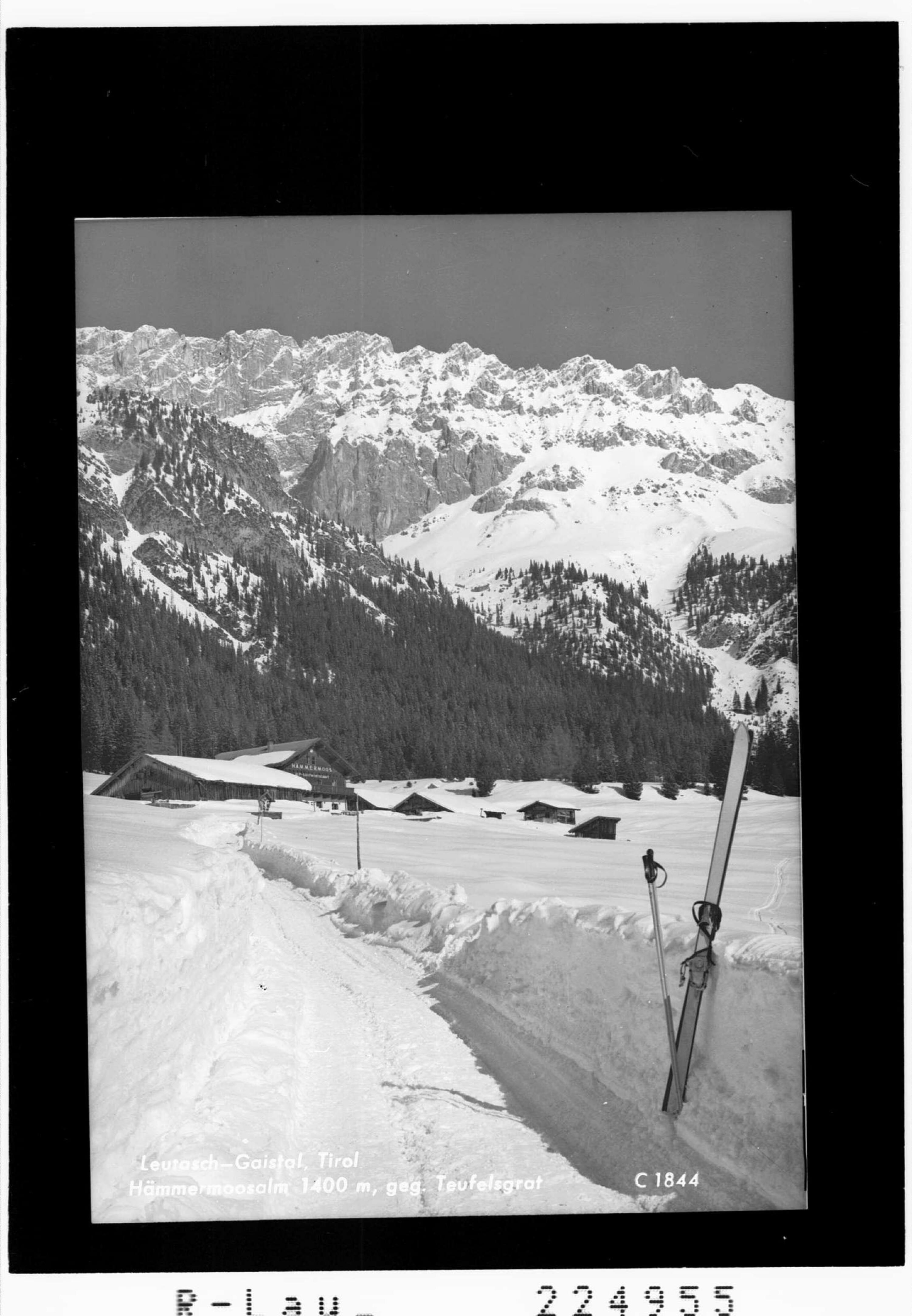 Leutasch - Gaistal / Tirol / Hämmermoosalm 1400 m gegen Teufelsgrat></div>


    <hr>
    <div class=