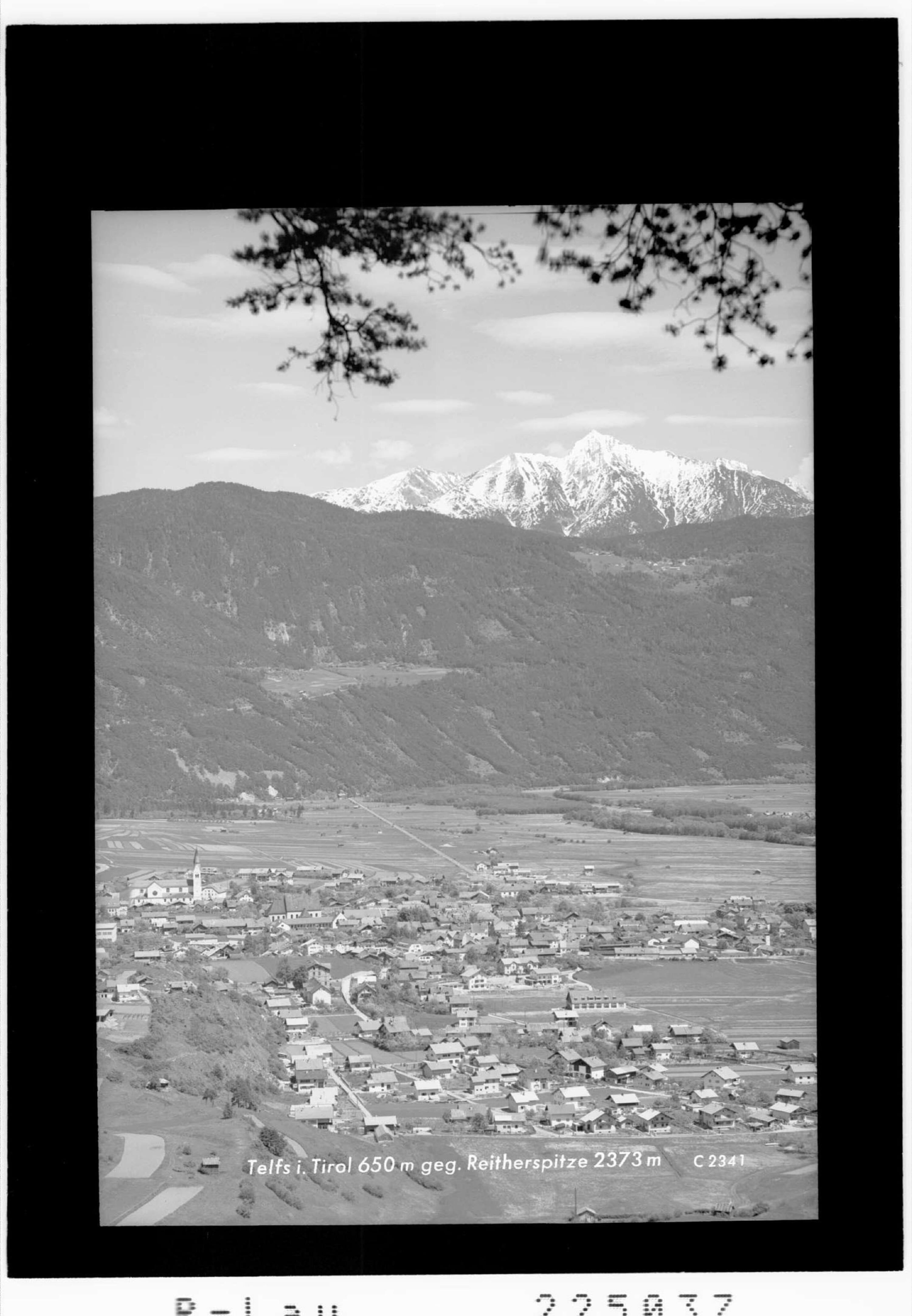 Telfs in Tirol gegen Reitherspitze 2373 m></div>


    <hr>
    <div class=