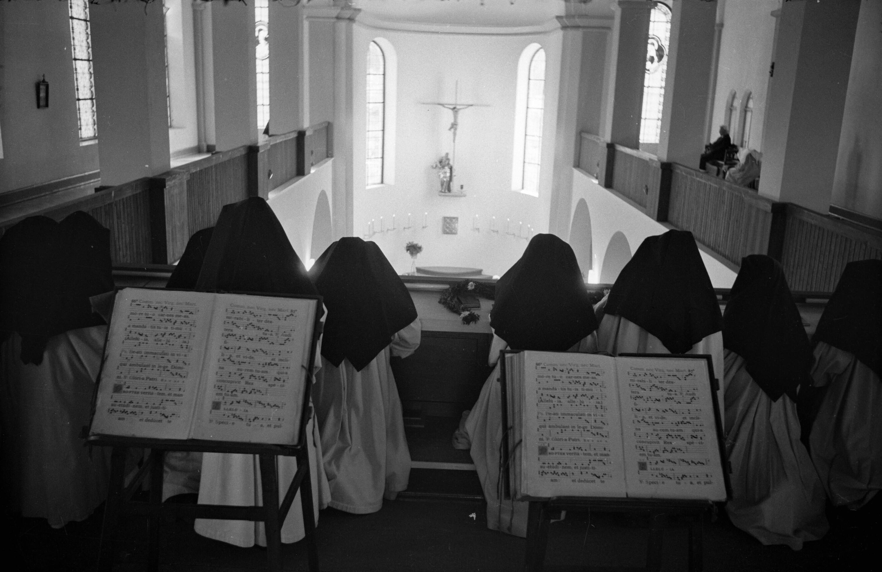 Altarsegnung in der Klosterkirche Mariastern in Hohenweiler - Gwiggen></div>


    <hr>
    <div class=