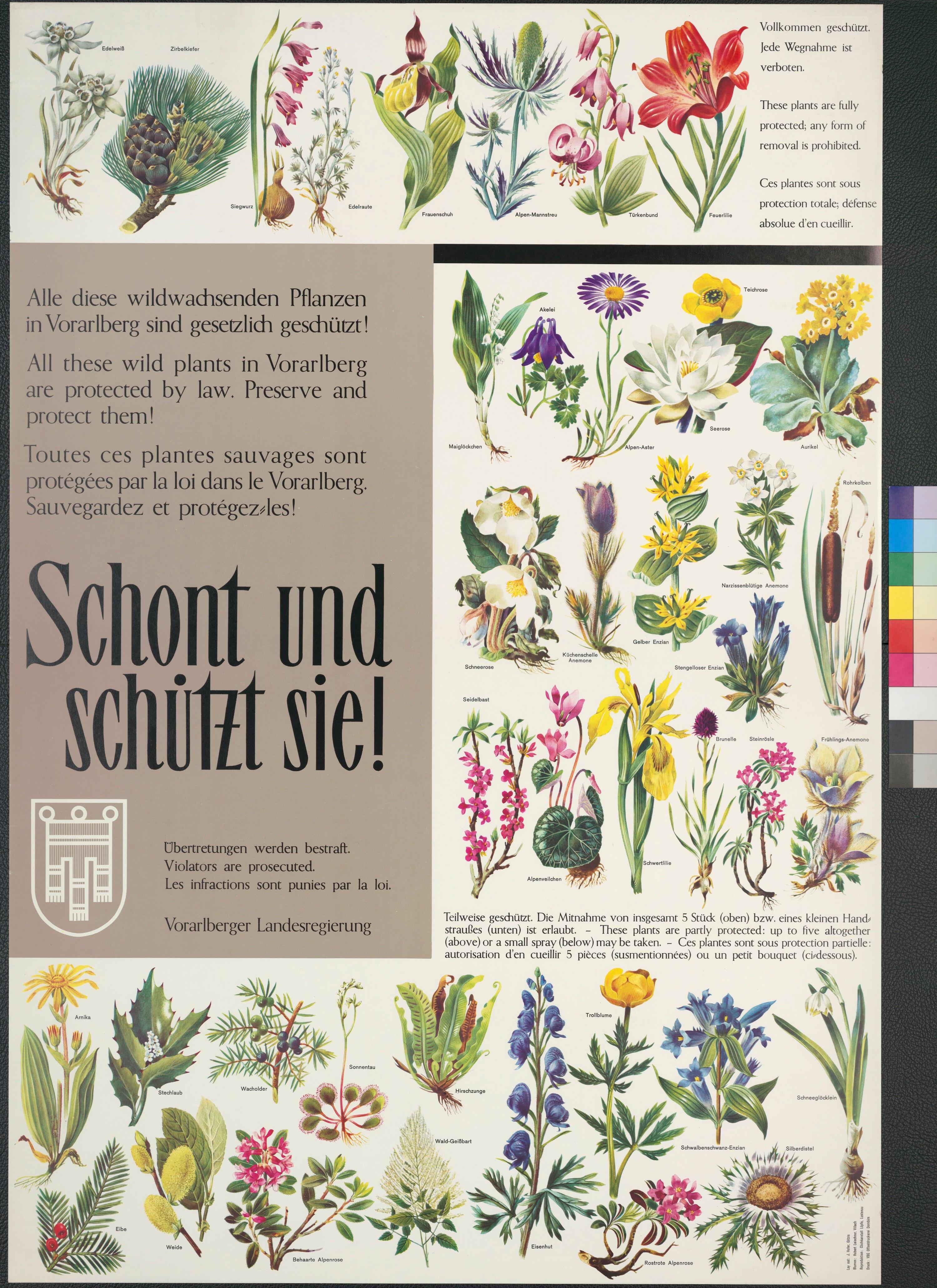 Informationsplakat über geschützte Pflanzen in Vorarlberg></div>


    <hr>
    <div class=