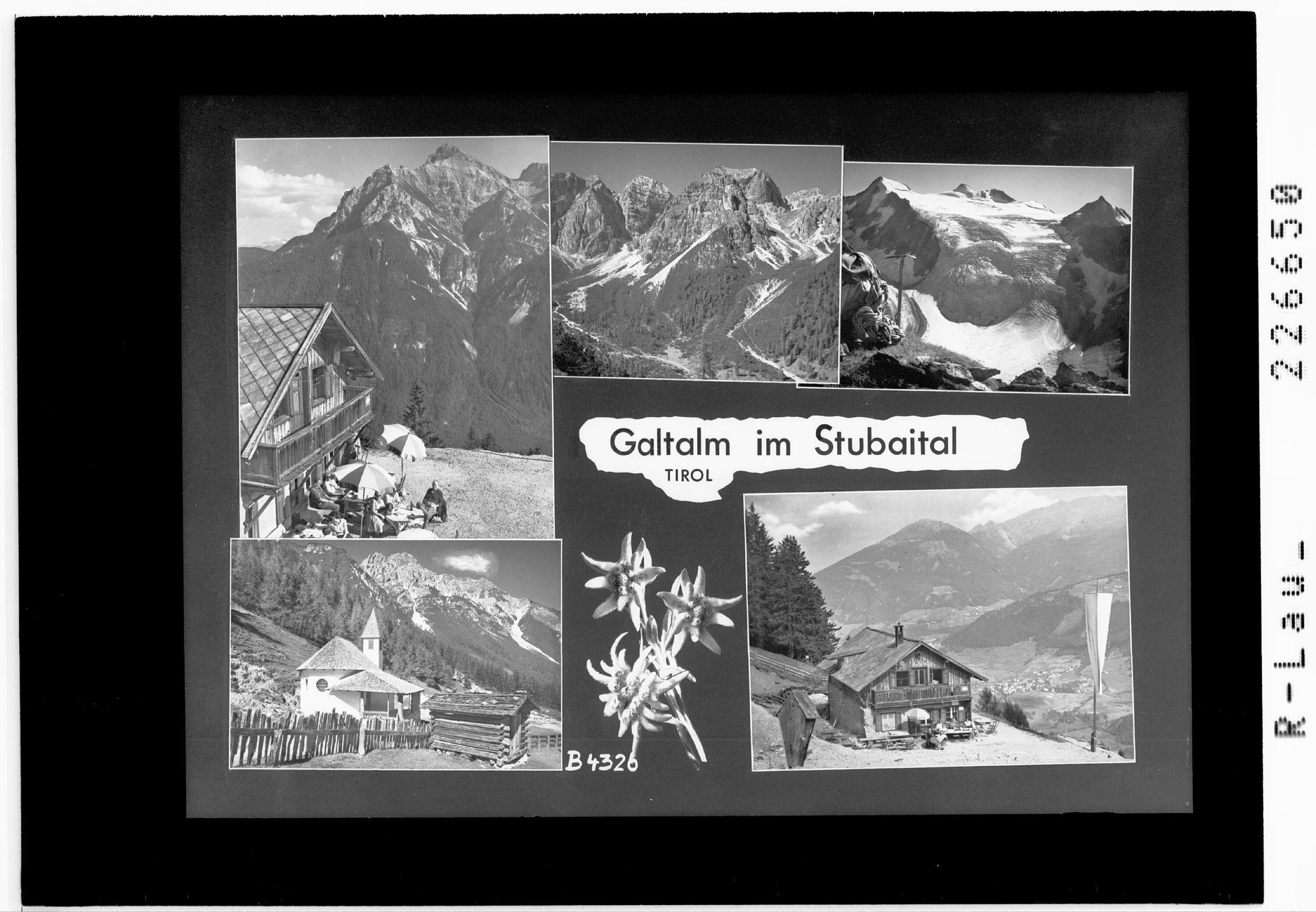 Galtalm im Stubaital / Tirol></div>


    <hr>
    <div class=