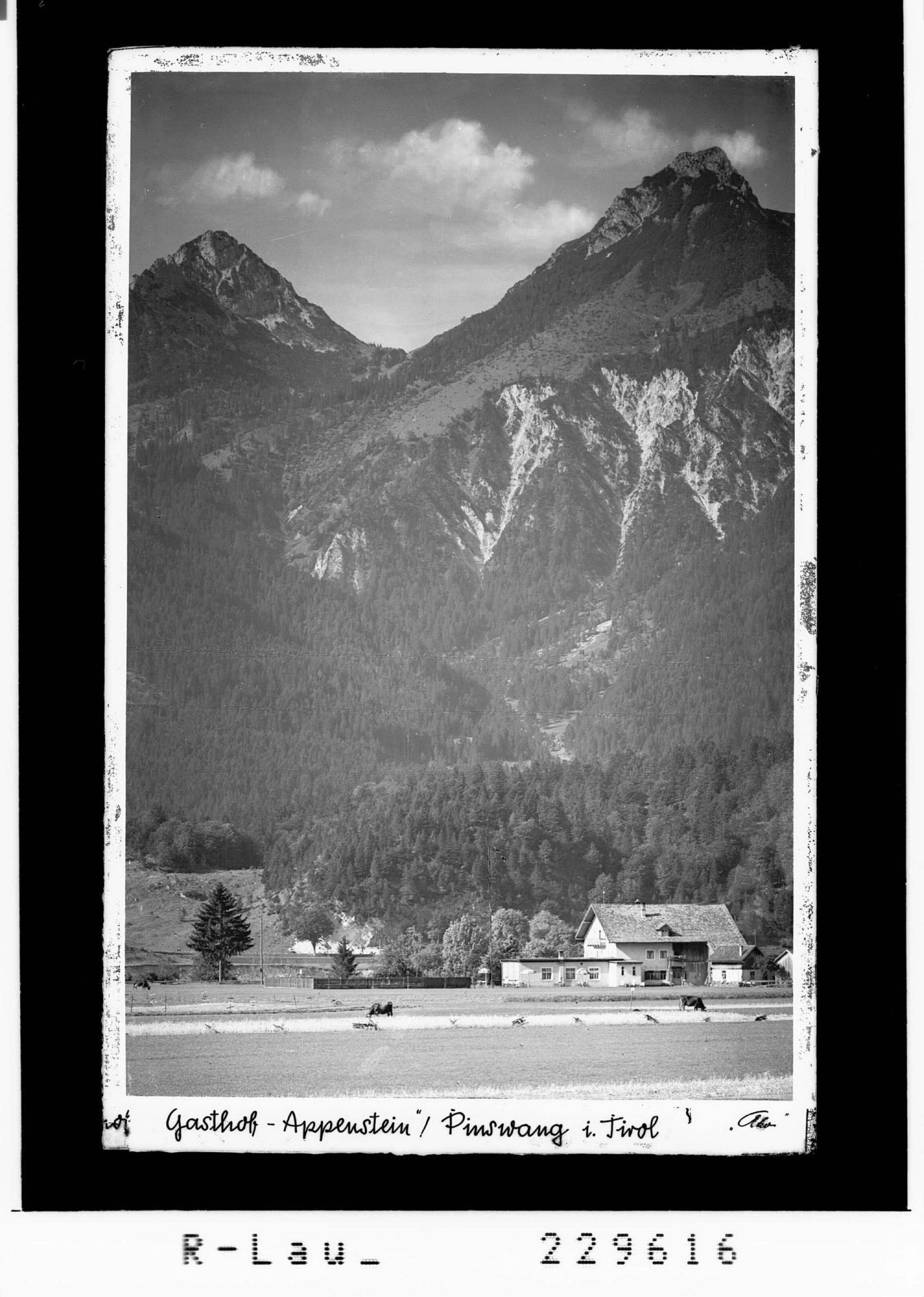 Gasthof Appenstein / Pinswang in Tirol></div>


    <hr>
    <div class=