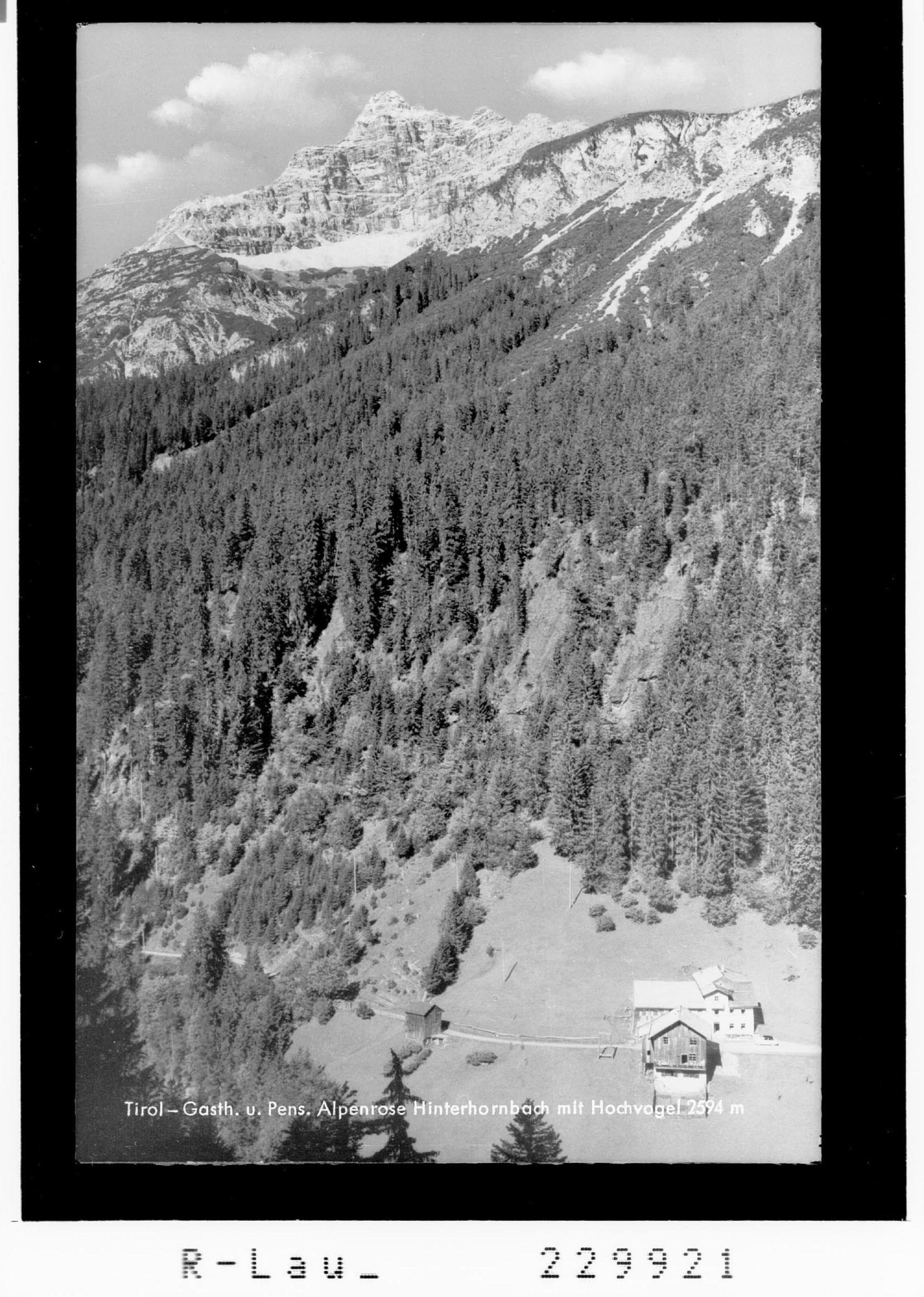 Tirol - Gasthof und Pension Alpenrose in Hinterhornbach mit Hochvogel 2594 m></div>


    <hr>
    <div class=