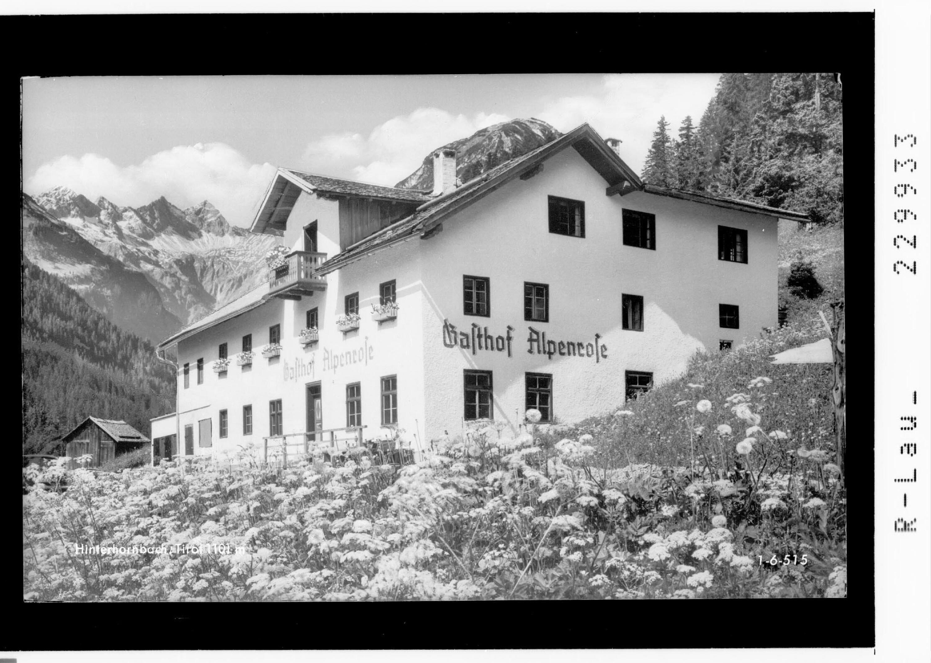 Hinterhornbach / Tirol 1101 m></div>


    <hr>
    <div class=