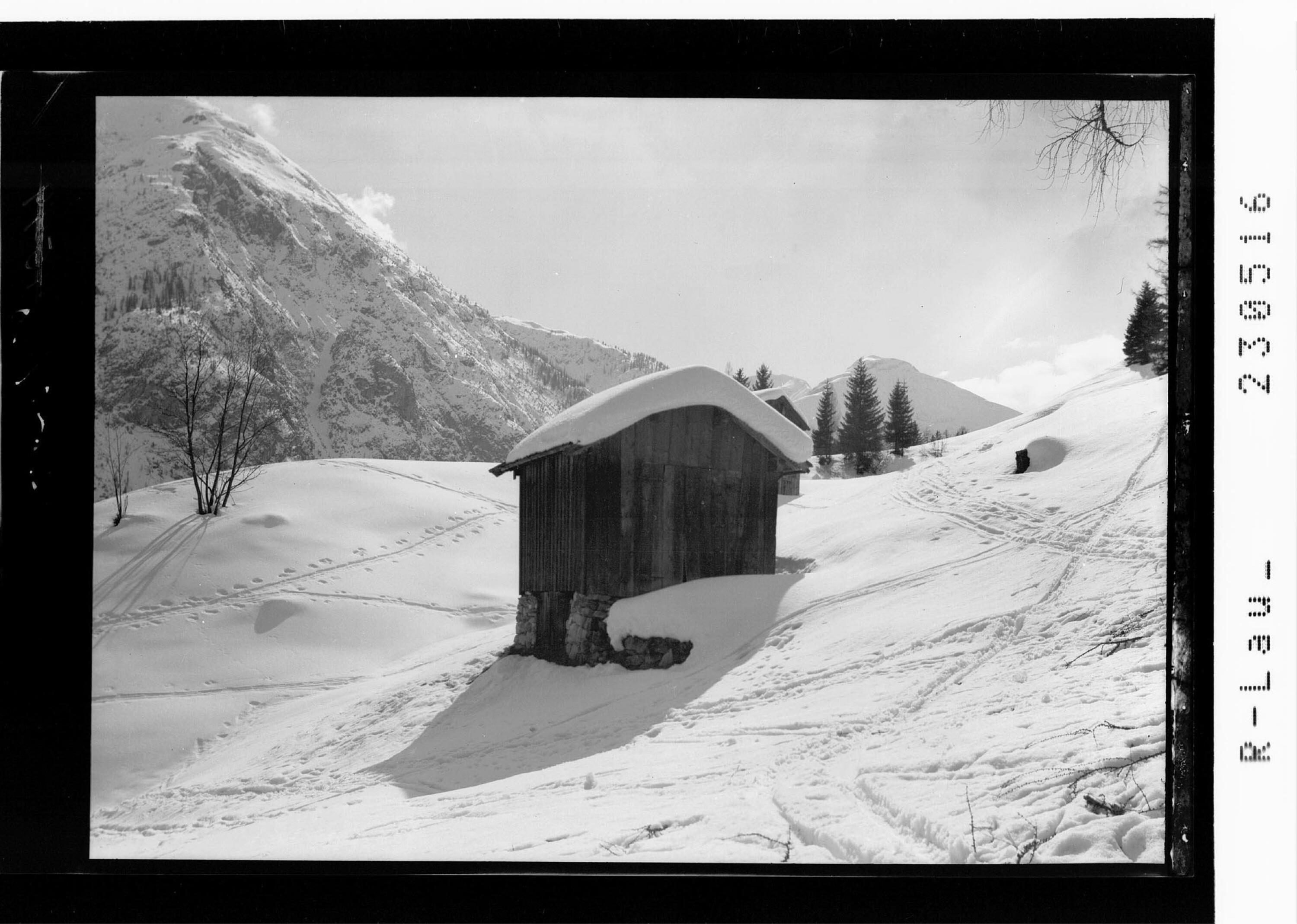 [Skigebiet ob Holzgau im Lechtal mit Blick zum Pimig / Ausserfern / Tirol]></div>


    <hr>
    <div class=