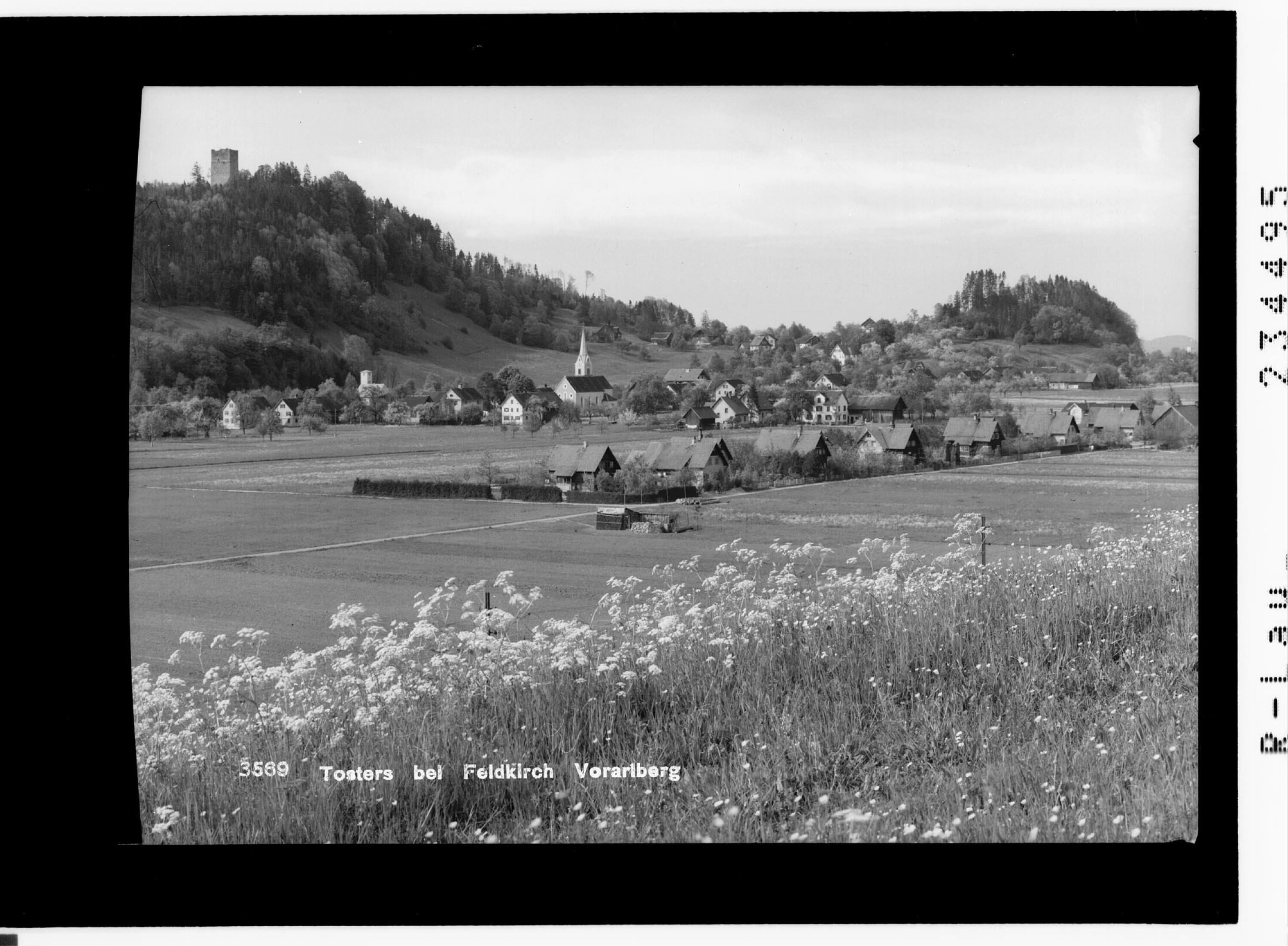 Tosters bei Feldkirch / Vorarlberg></div>


    <hr>
    <div class=