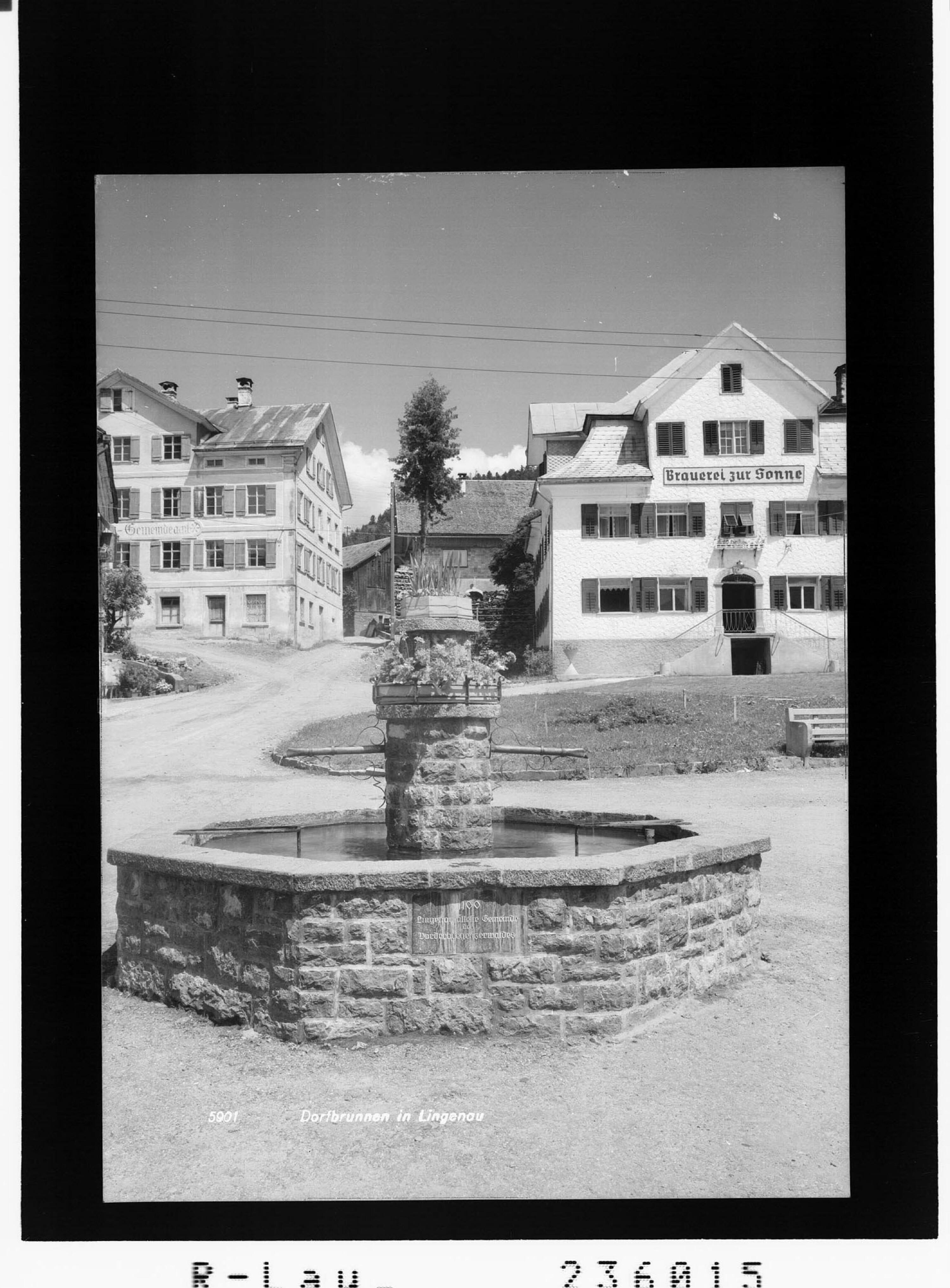Dorfbrunnen in Lingenau></div>


    <hr>
    <div class=