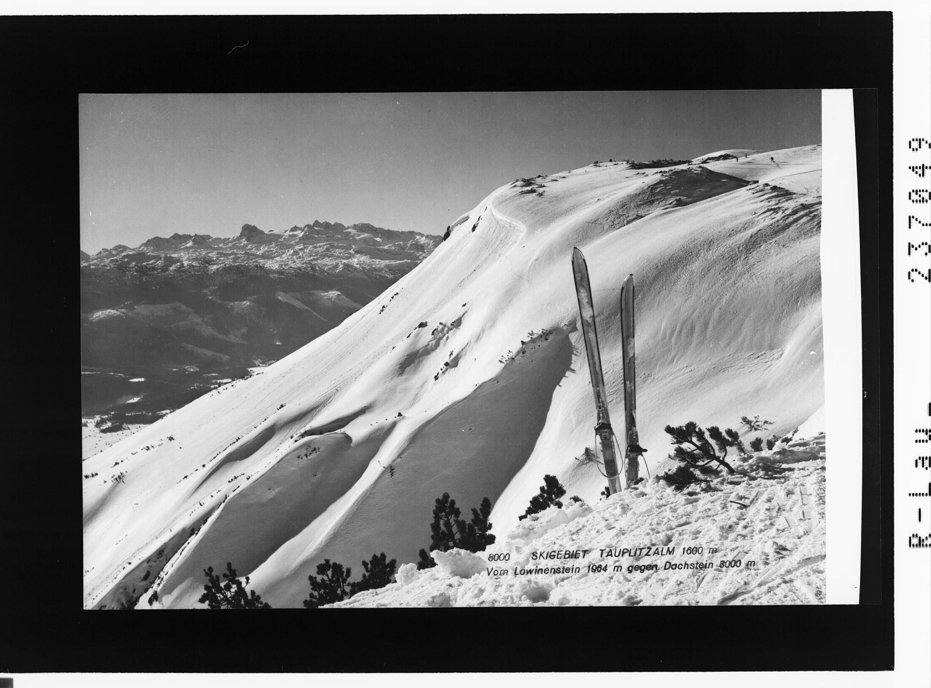 Skigebiet Tauplitzalm 1600 m / Vom Lawinenstein 1964 m gegen Dachstein 3000 m></div>


    <hr>
    <div class=