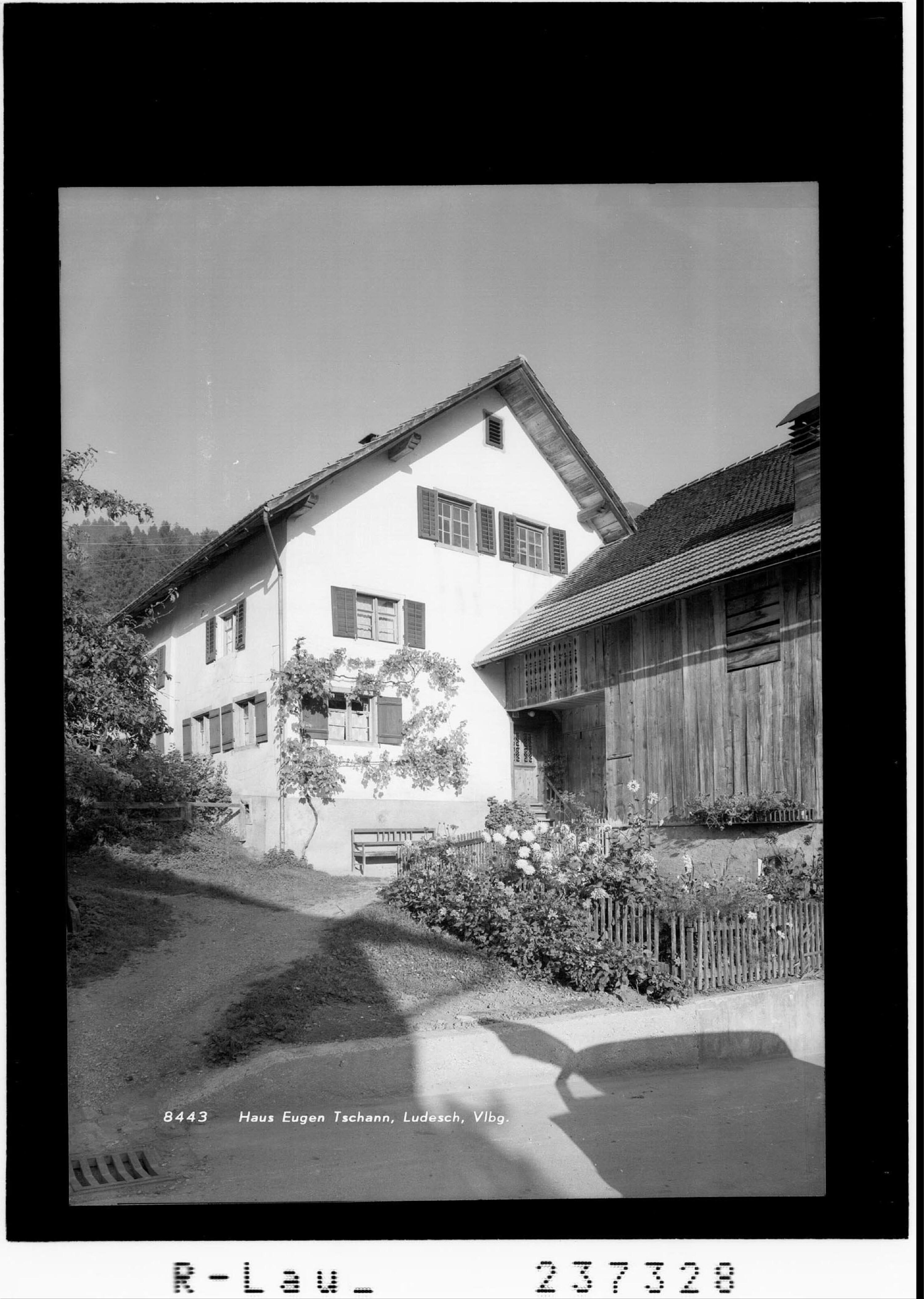 Haus Eugen Tschann / Ludesch / Vorarlberg></div>


    <hr>
    <div class=