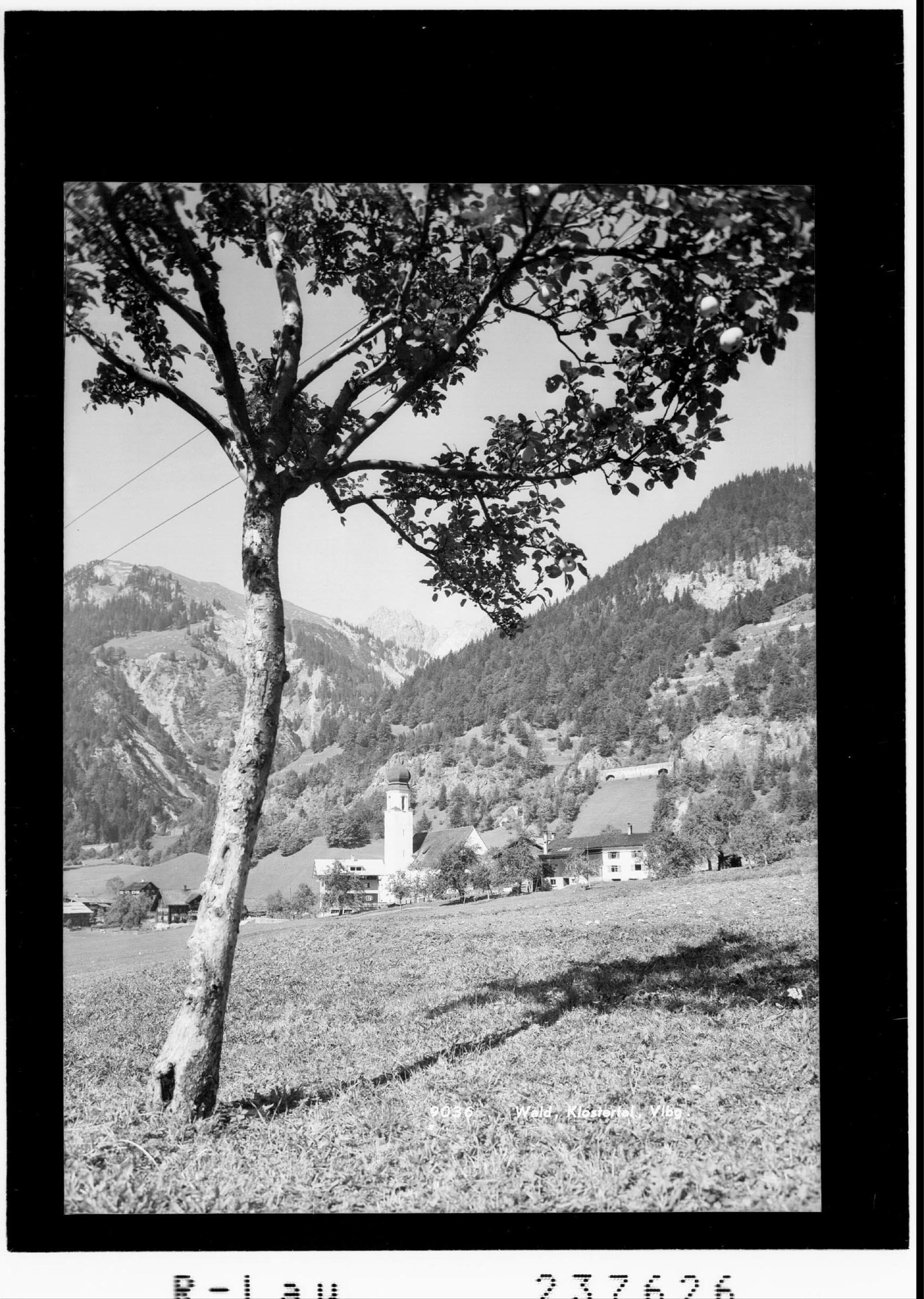 Wald / Klostertal / Vorarlberg></div>


    <hr>
    <div class=