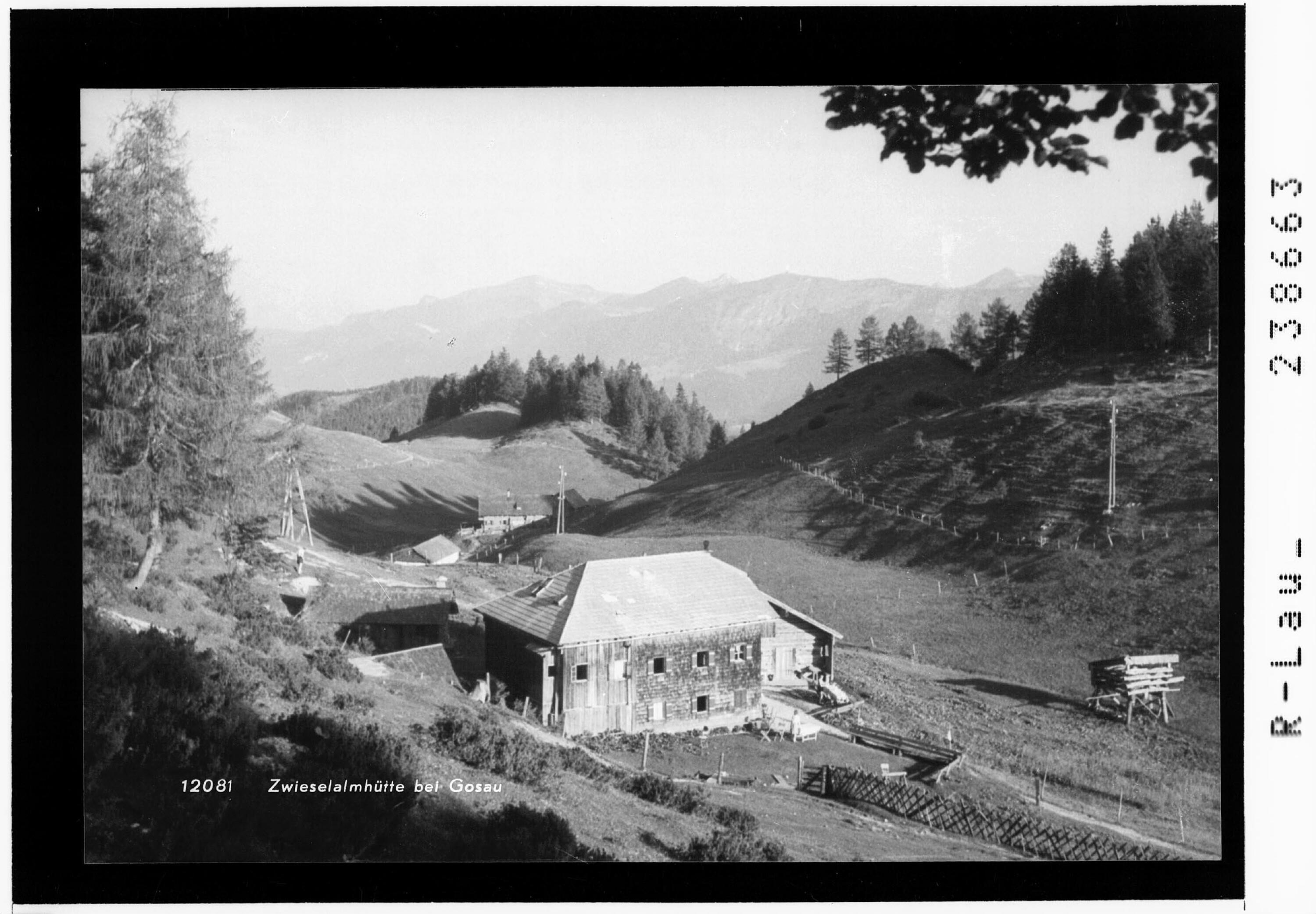 Zwieselalmhütte bei Gosau></div>


    <hr>
    <div class=
