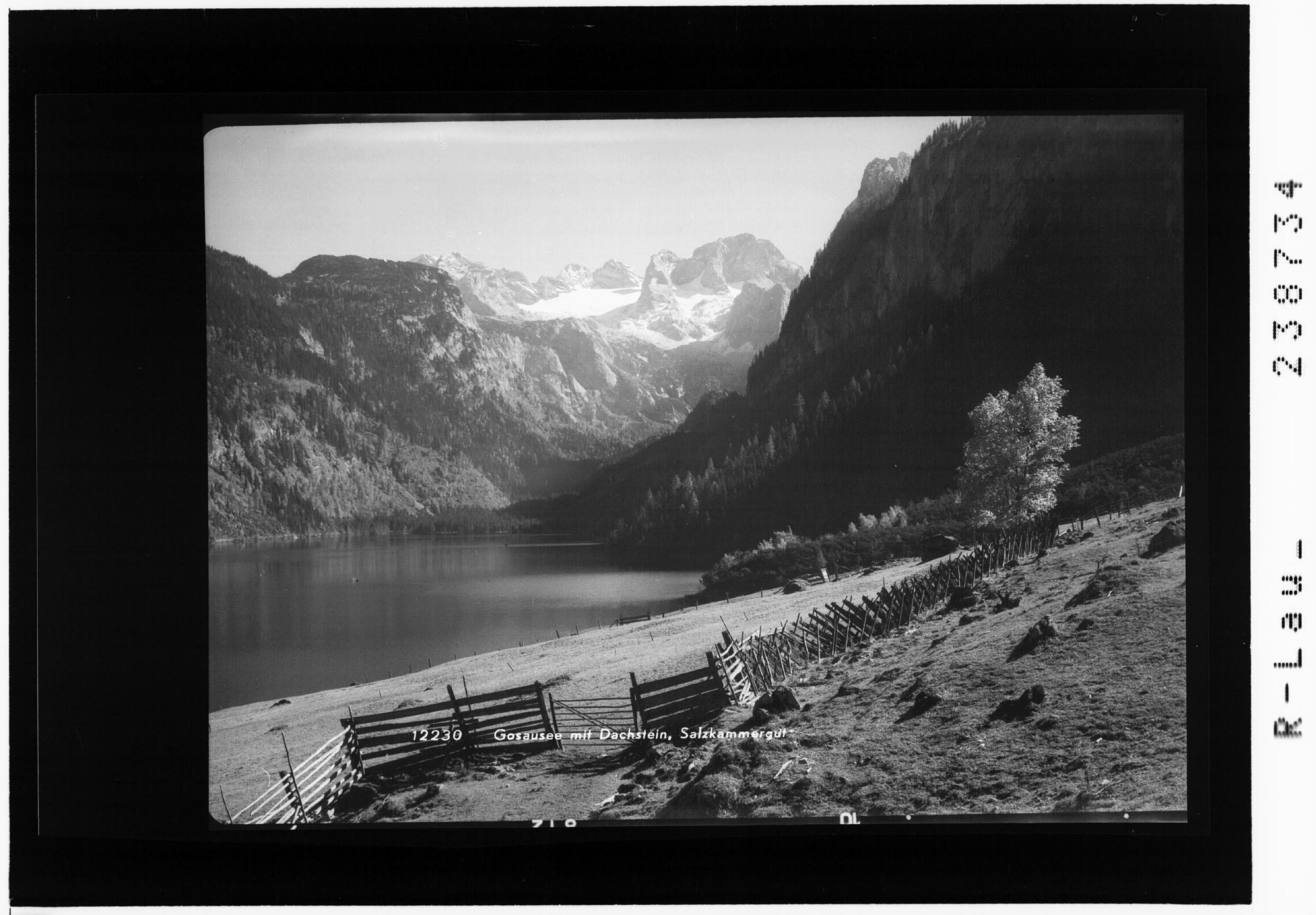 Gosausee mit Dachstein / Salzkammergut></div>


    <hr>
    <div class=