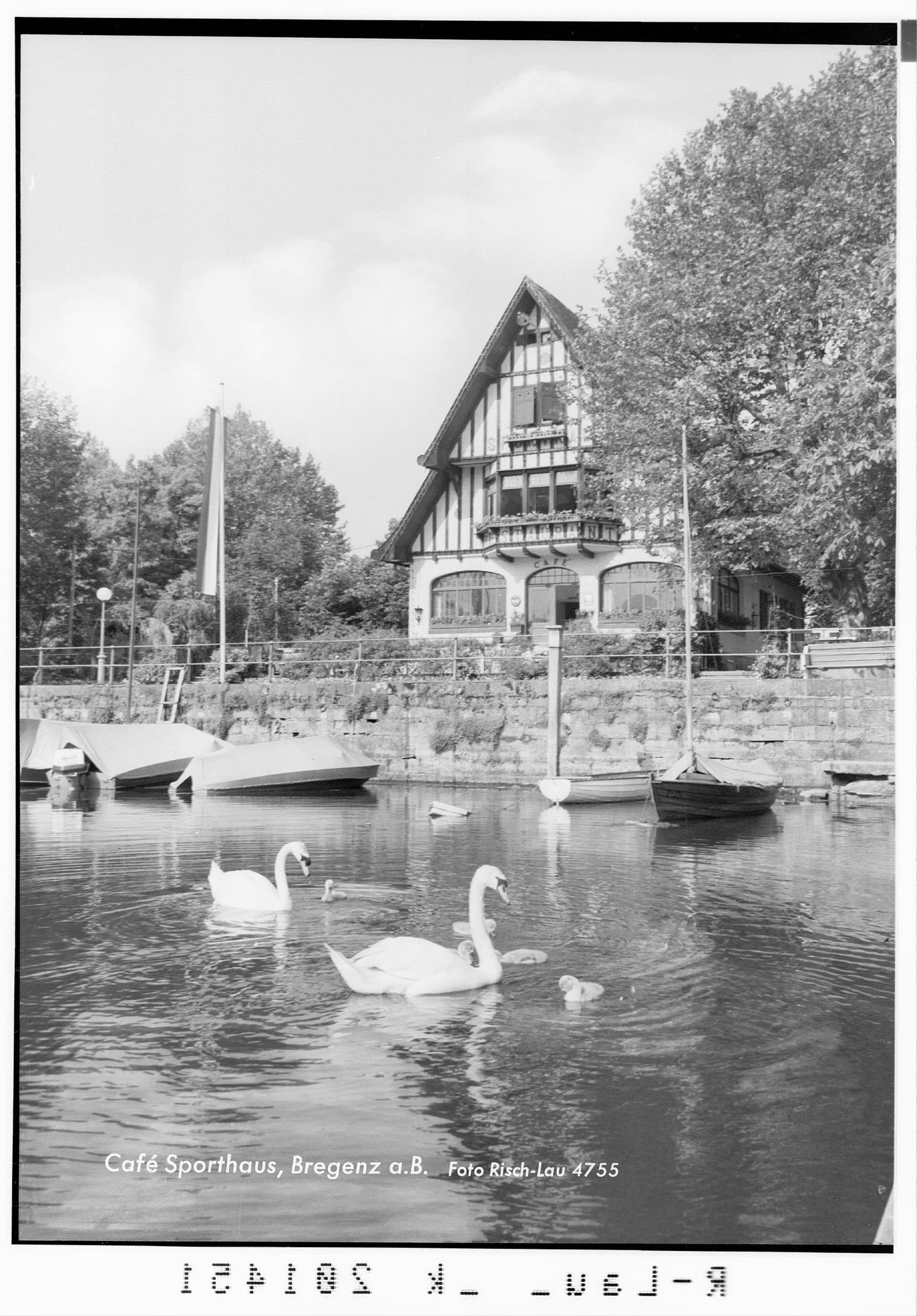 Cafe Sporthaus / Bregenz am Bodensee></div>


    <hr>
    <div class=