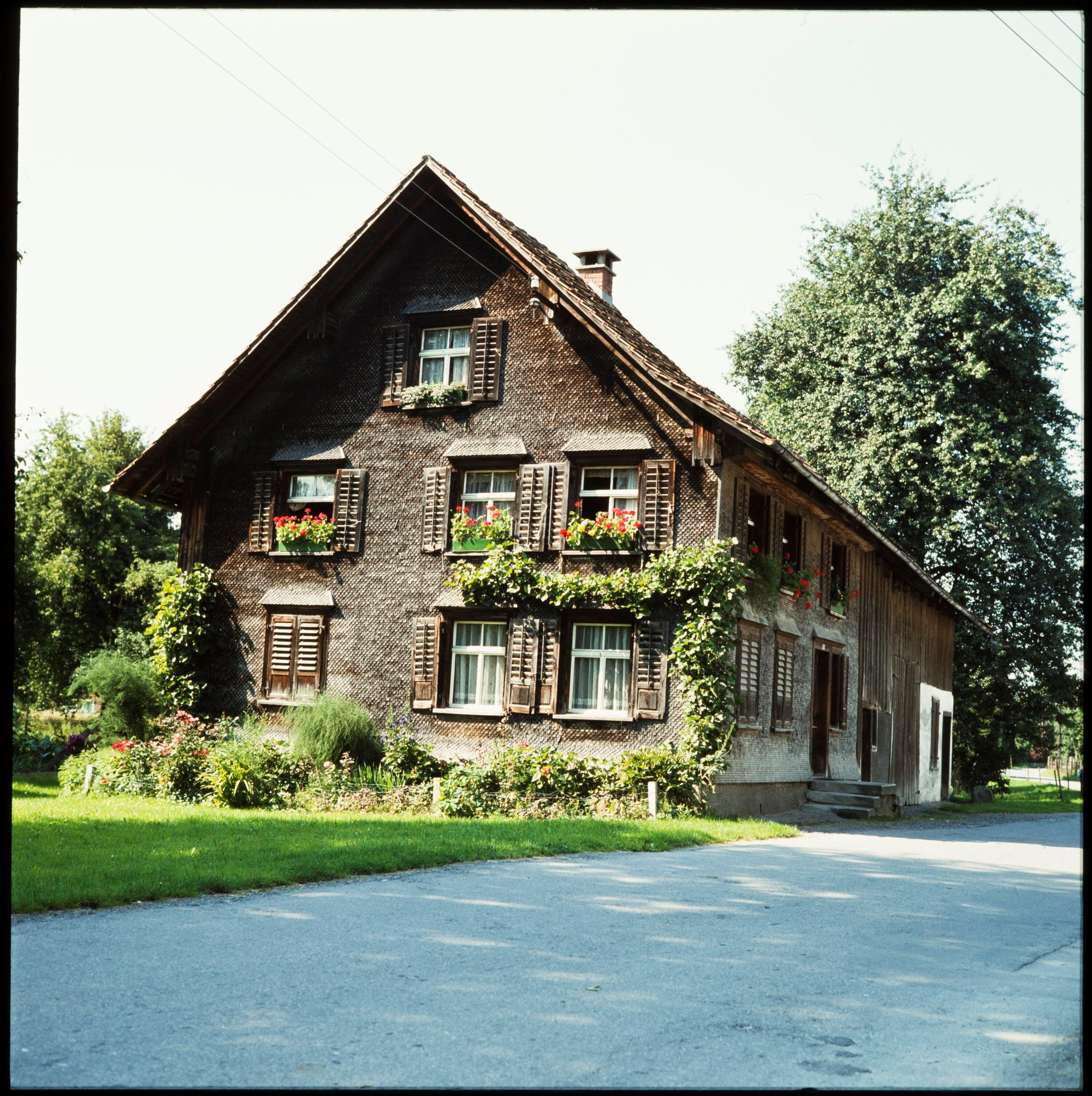 Rheintalhaus in Höchst></div>


    <hr>
    <div class=