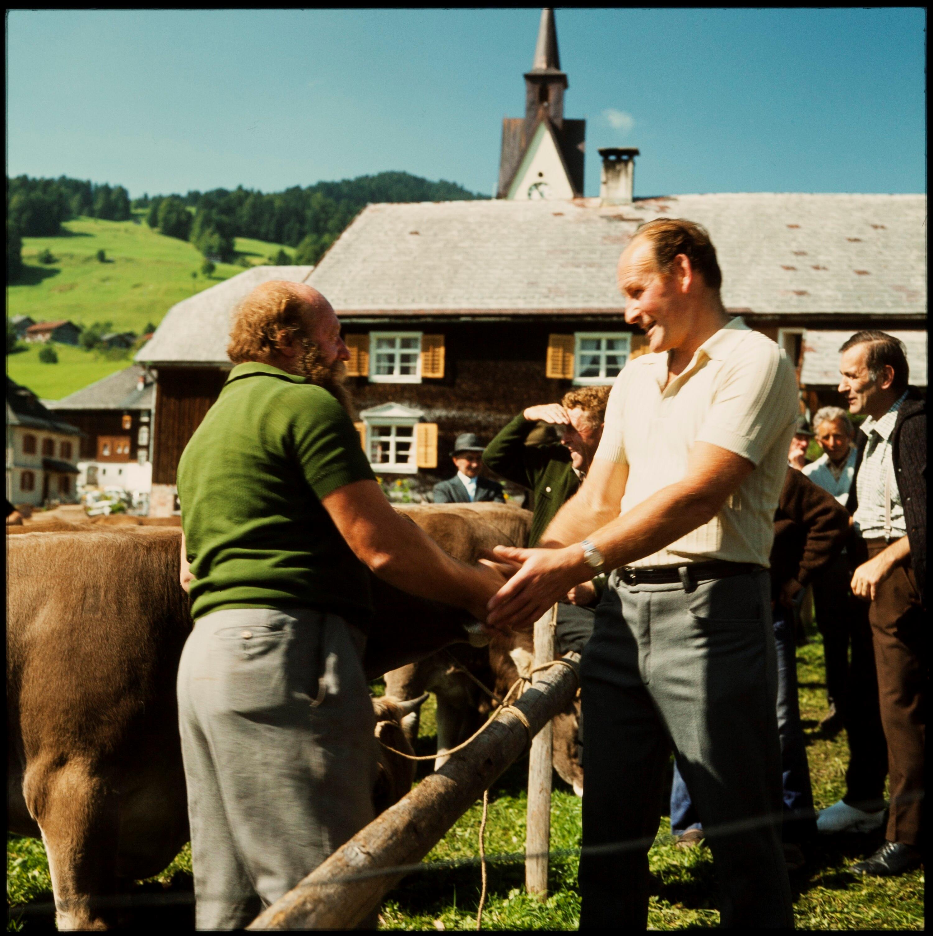 Viehmarkt in Schwarzenberg (Handschlag)></div>


    <hr>
    <div class=