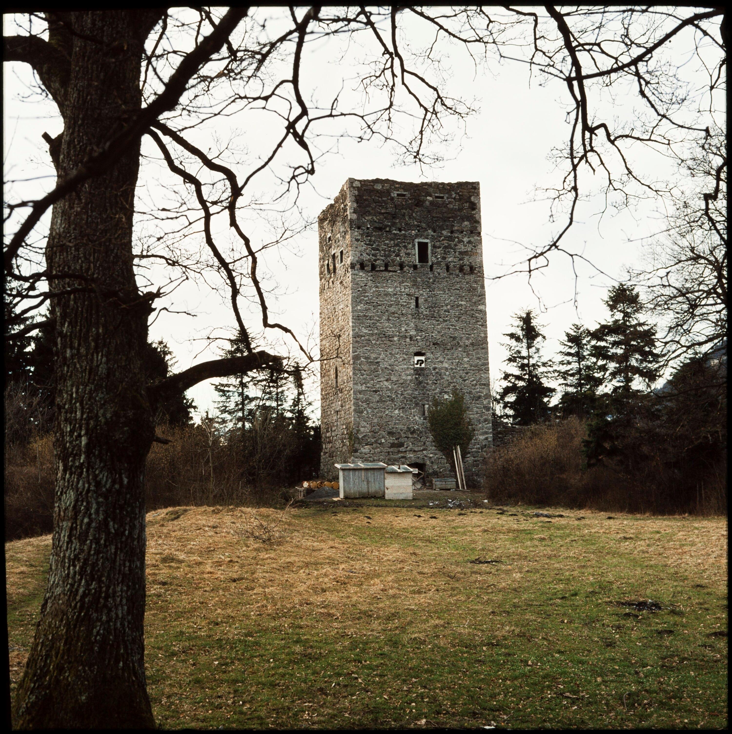 Tosters - Ruine></div>


    <hr>
    <div class=