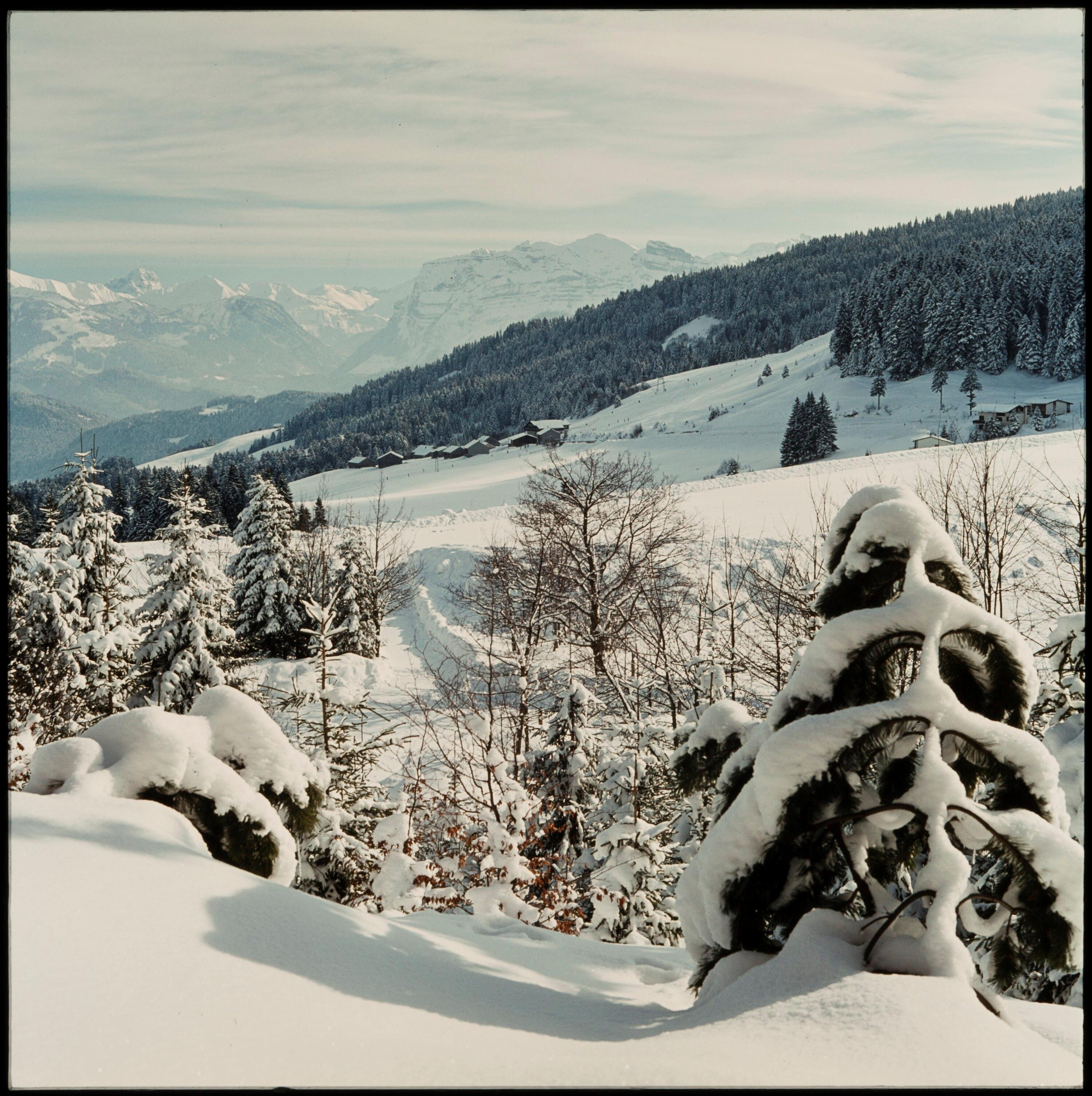 Bödele bei Dornbirn - Wintermotive></div>


    <hr>
    <div class=