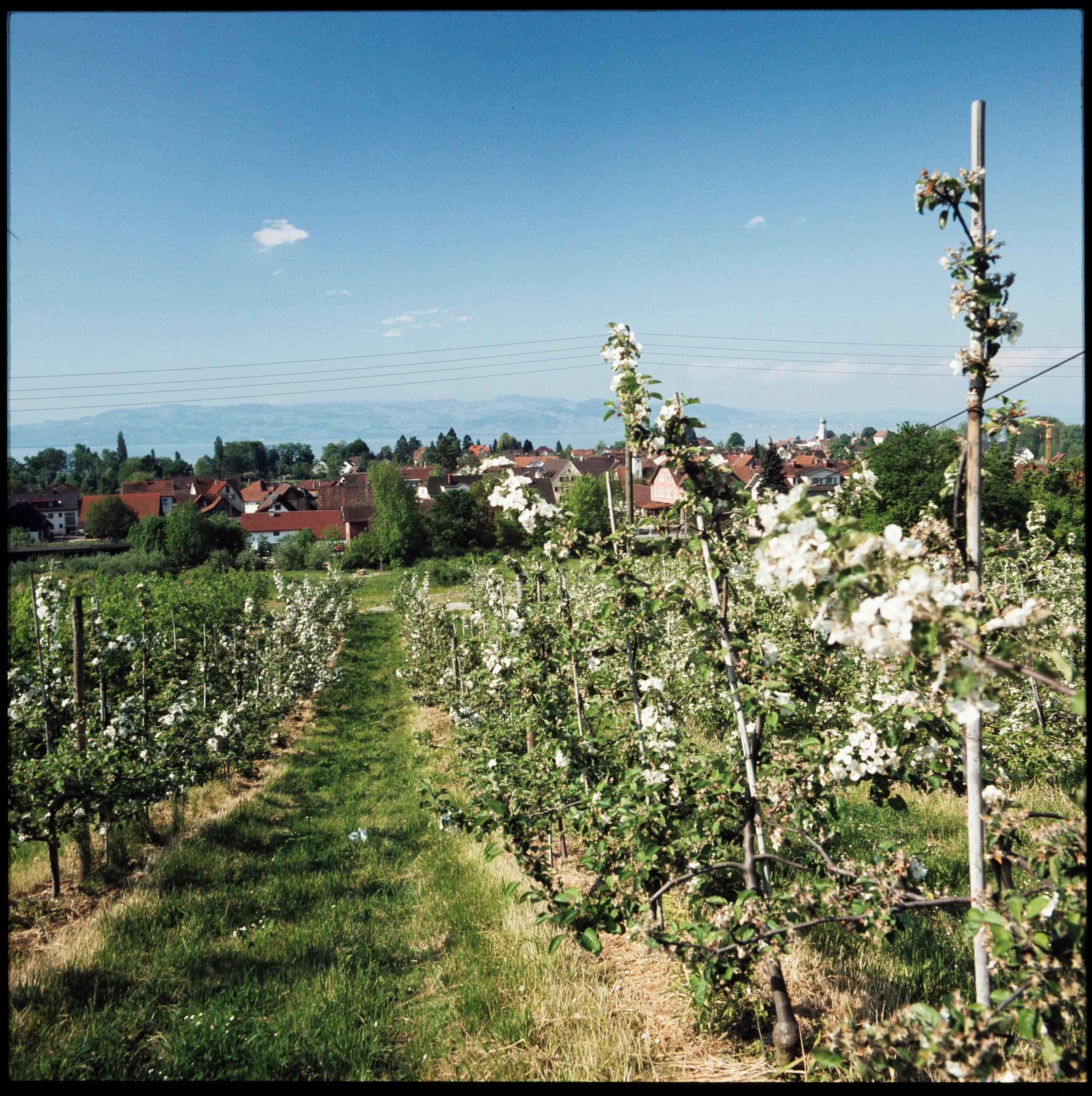 Wasserburg - Obstbau></div>


    <hr>
    <div class=