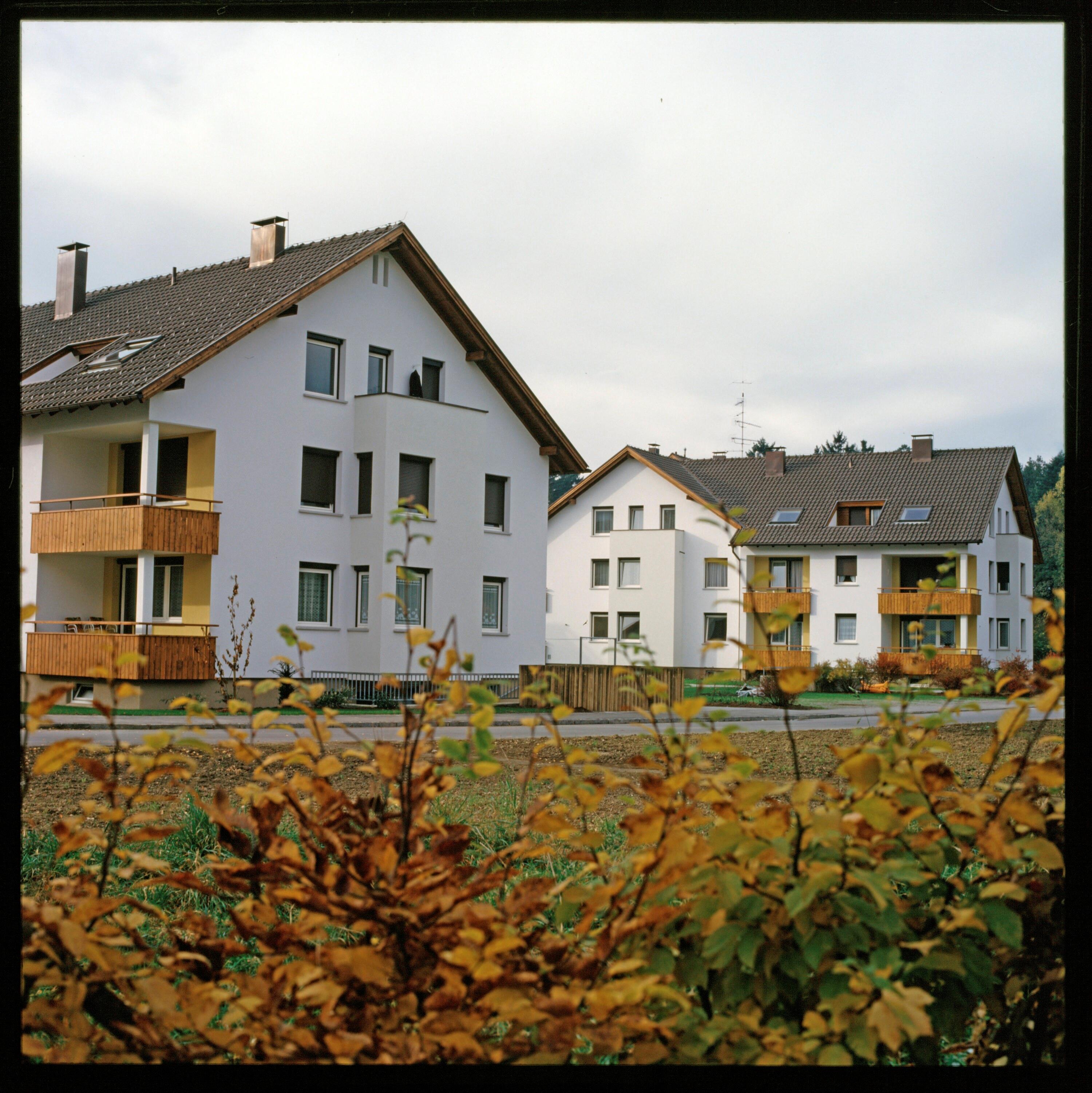Siedlungsbauten in Höchst und Fussach></div>


    <hr>
    <div class=