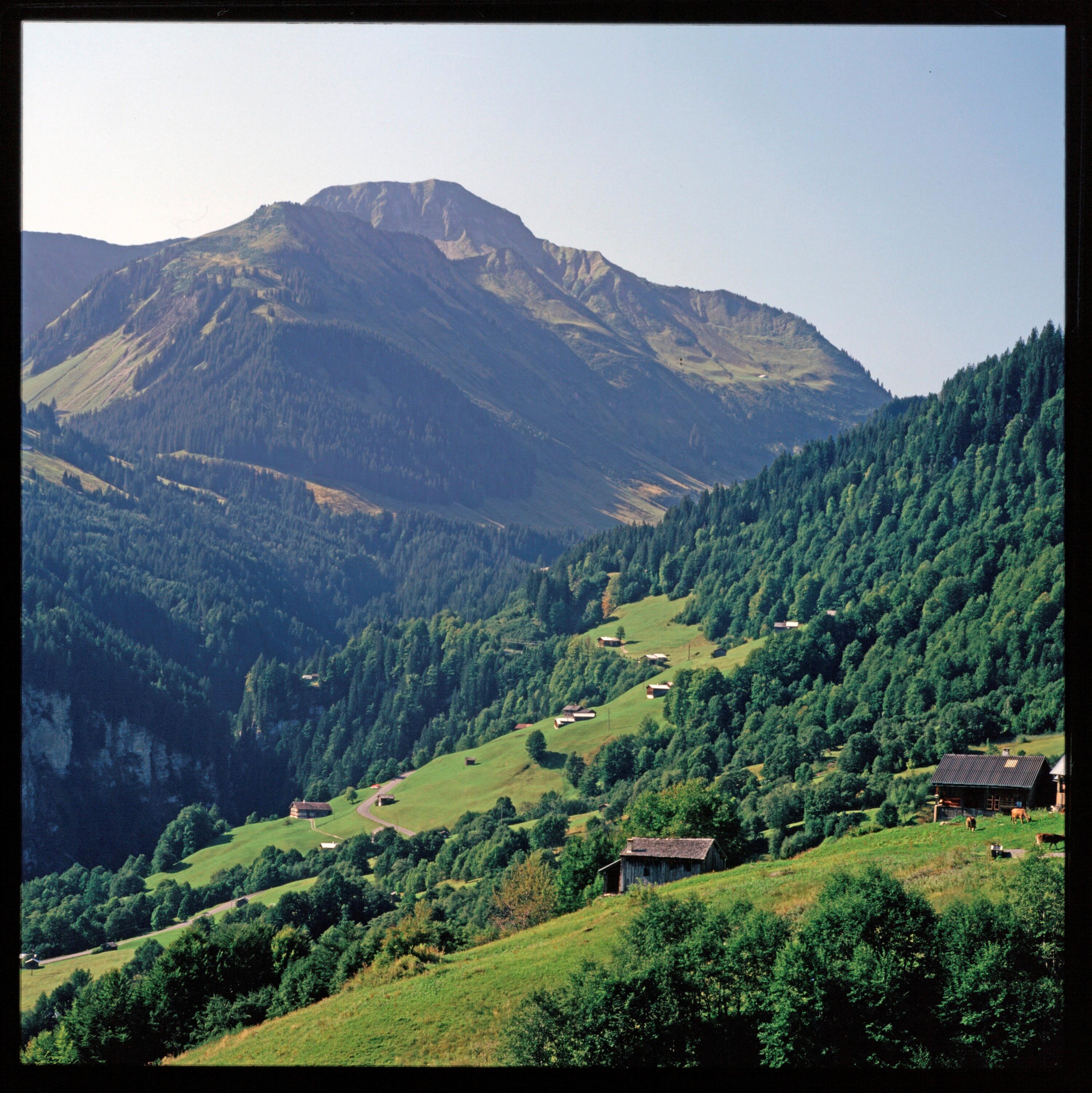 Alpe Ahornen - Bregenzerwald></div>


    <hr>
    <div class=