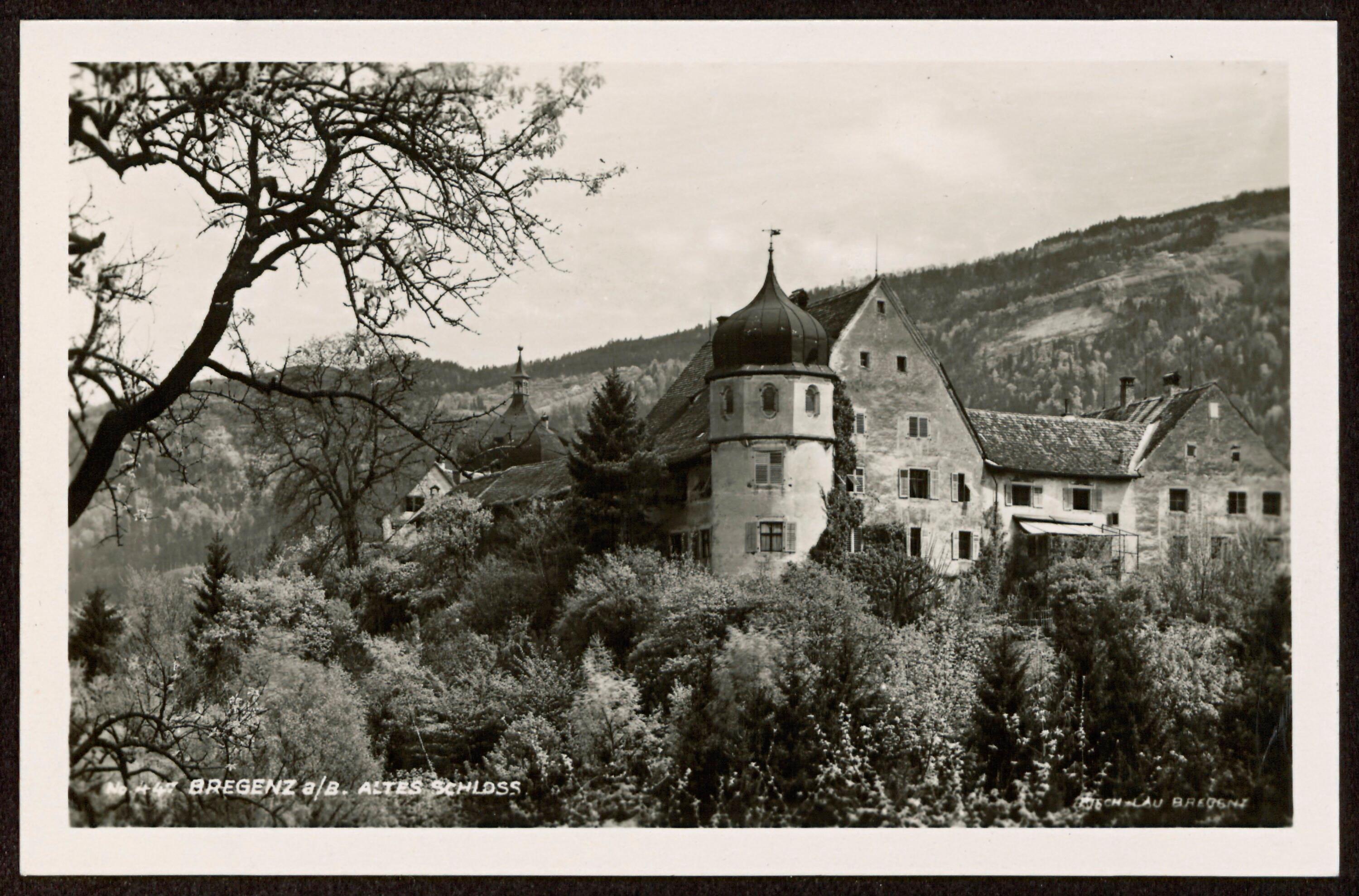 Bregenz a/B. Altes Schloss></div>


    <hr>
    <div class=