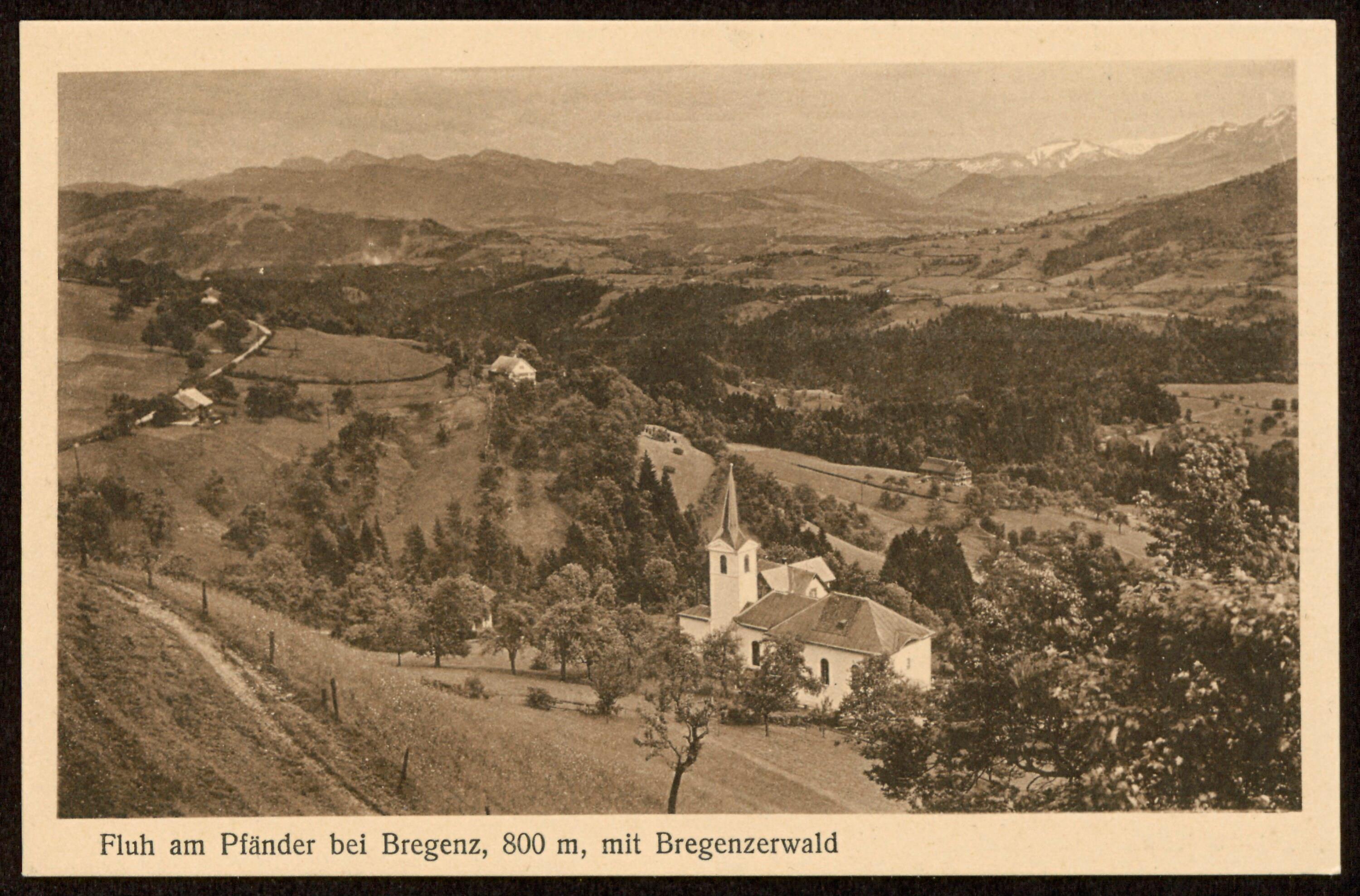 Fluh am Pfänder bei Bregenz, 800 m, mit Bregenzerwald></div>


    <hr>
    <div class=