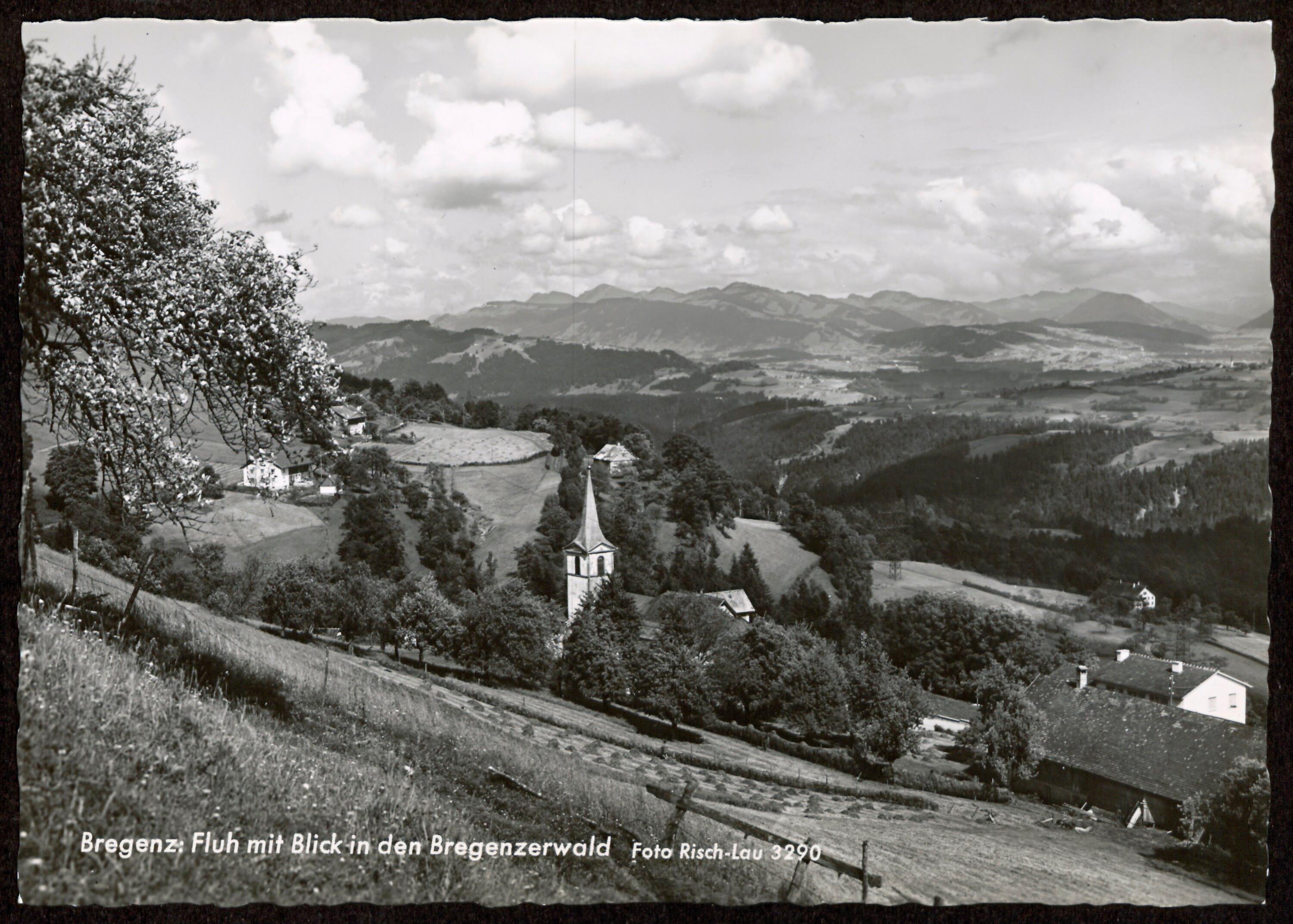 Bregenz: Fluh mit Blick in den Bregenzerwald></div>


    <hr>
    <div class=