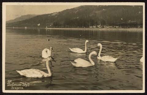 Bodensee-Idyll / Aufnahme von Adolf Buck von Buck, Adolf