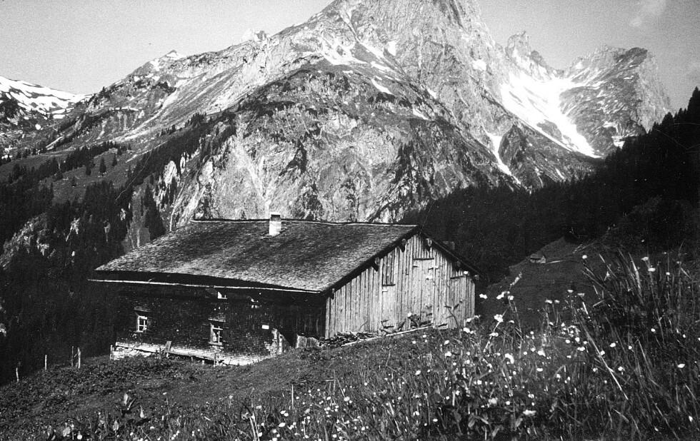 Alphütte Alp in Schröcken