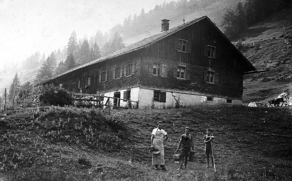 Alphütte Schneidenbach im Lecknertal in Hittisau